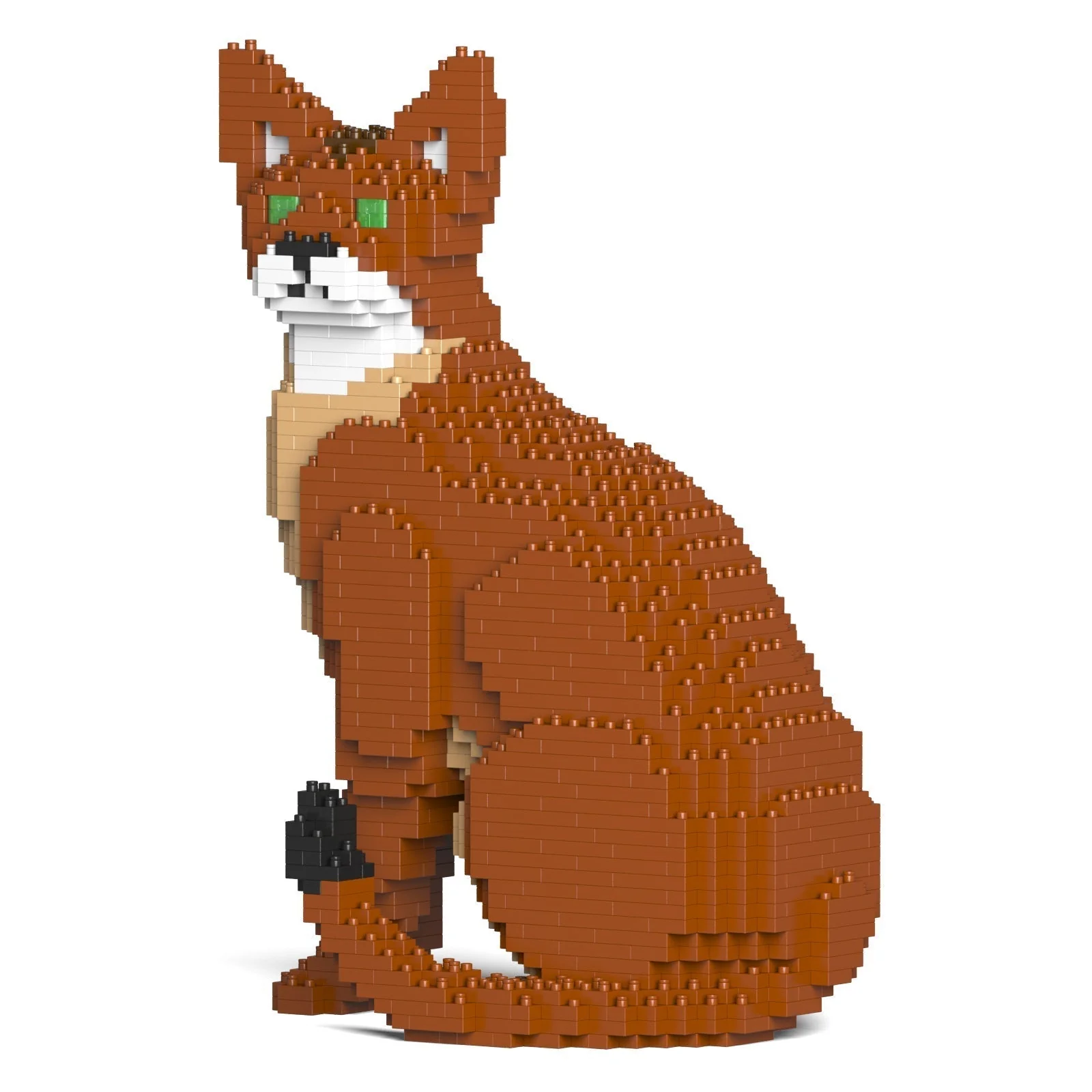 Abyssinian Cat 02S - Image 5