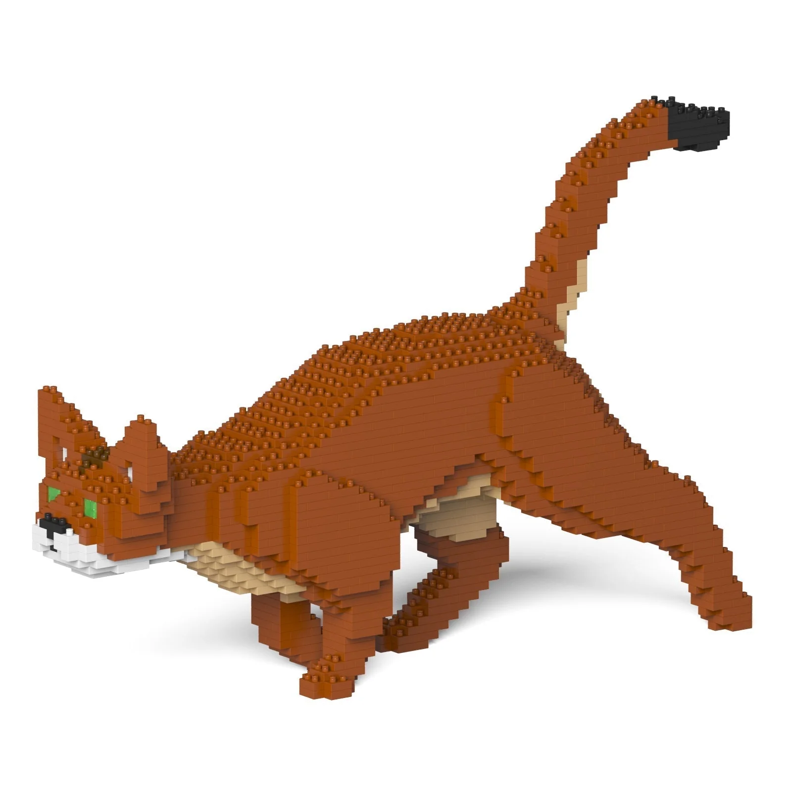 Abyssinian Cat 03S - Image 4