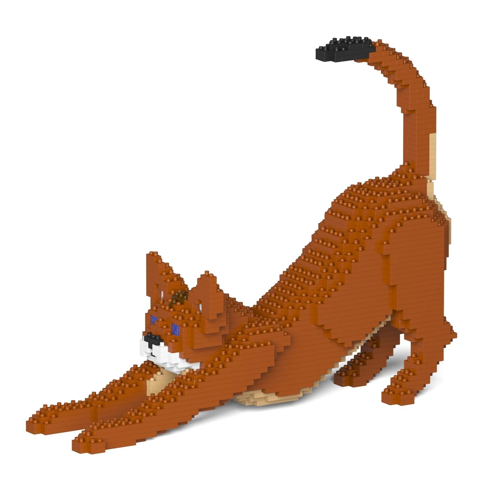 Abyssinian Cat 04S - Image 5