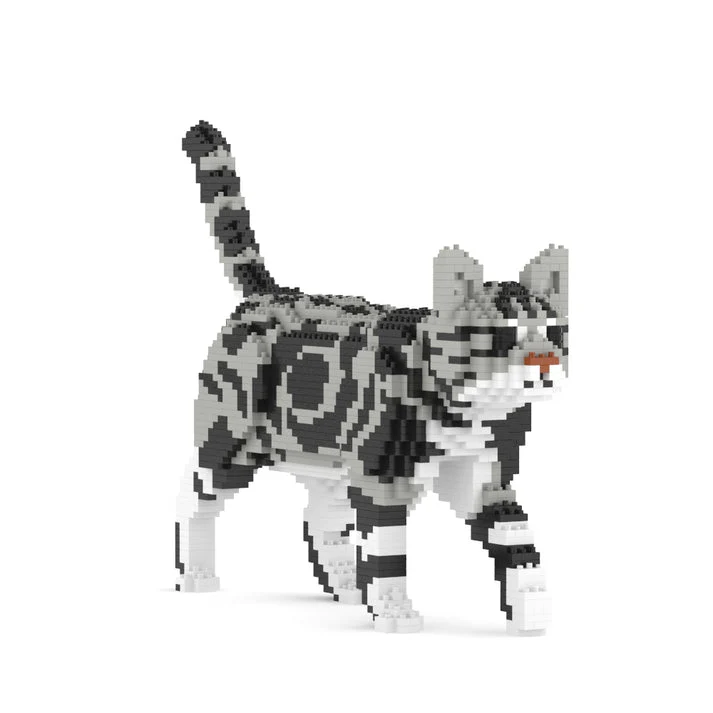 American Shorthair Cat 02S-M01B - Image 3