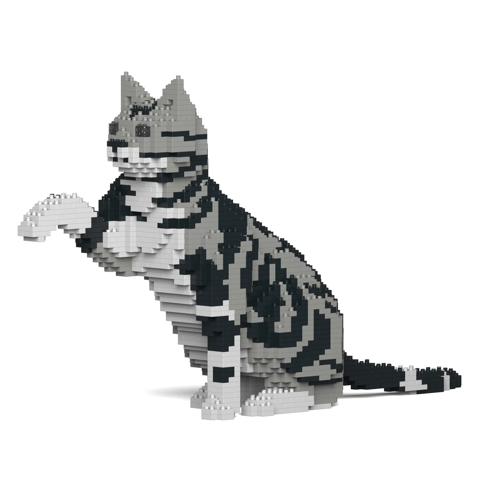 American Shorthair Cat 03S-M01 - Image 6