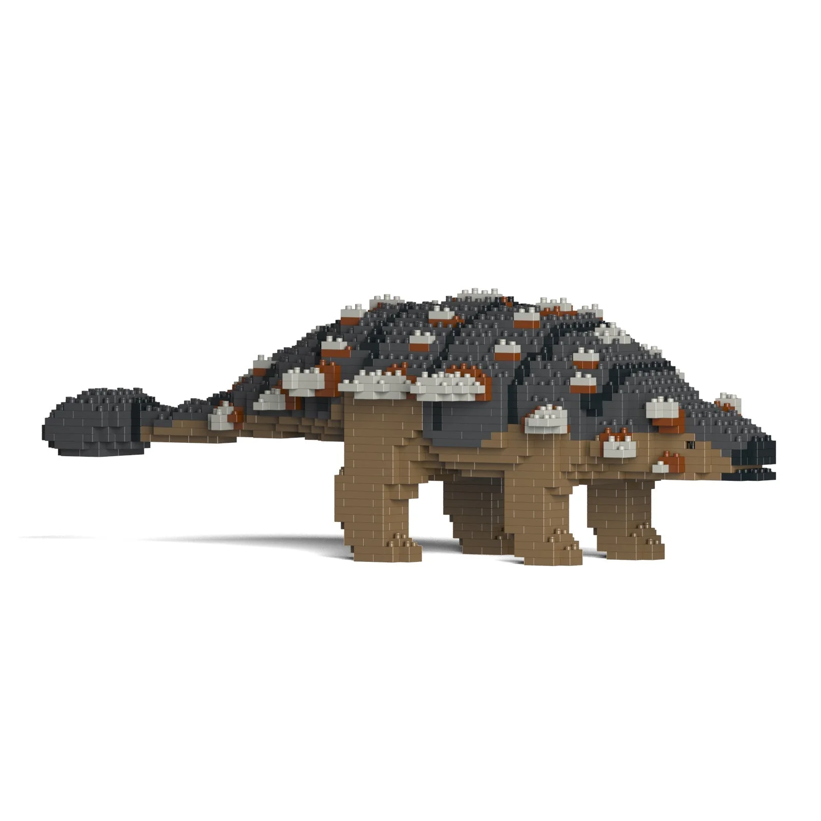 Ankylosaurus 01-M01 - Image 5