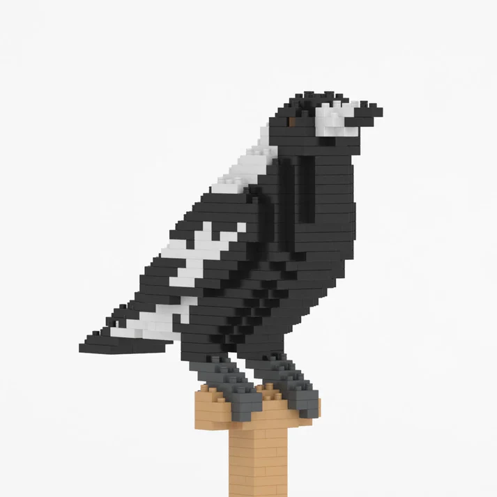 Australian Magpie 01S - Image 3