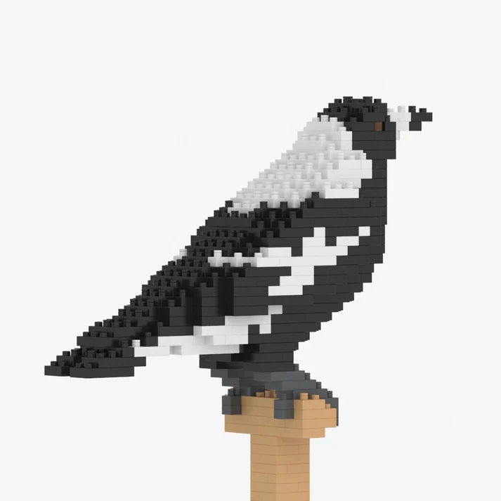 Australian Magpie 01S - Image 4