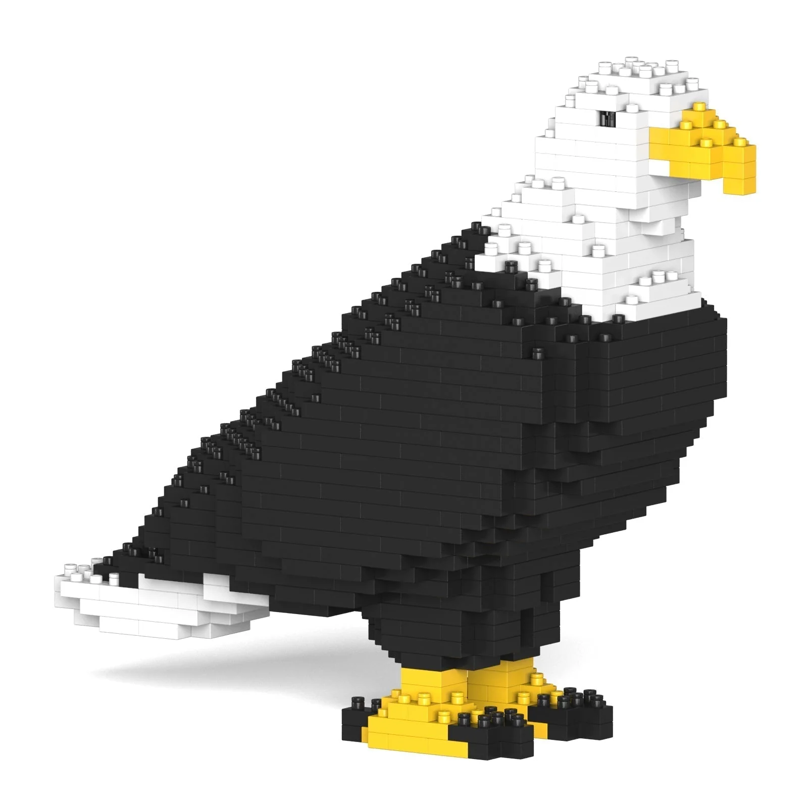Bald Eagle 01 - Image 3