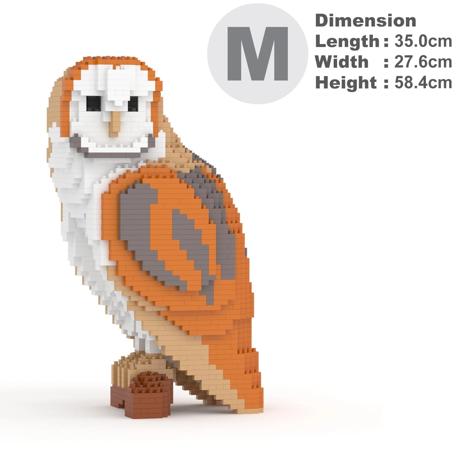 Barn Owl 01 - Image 5