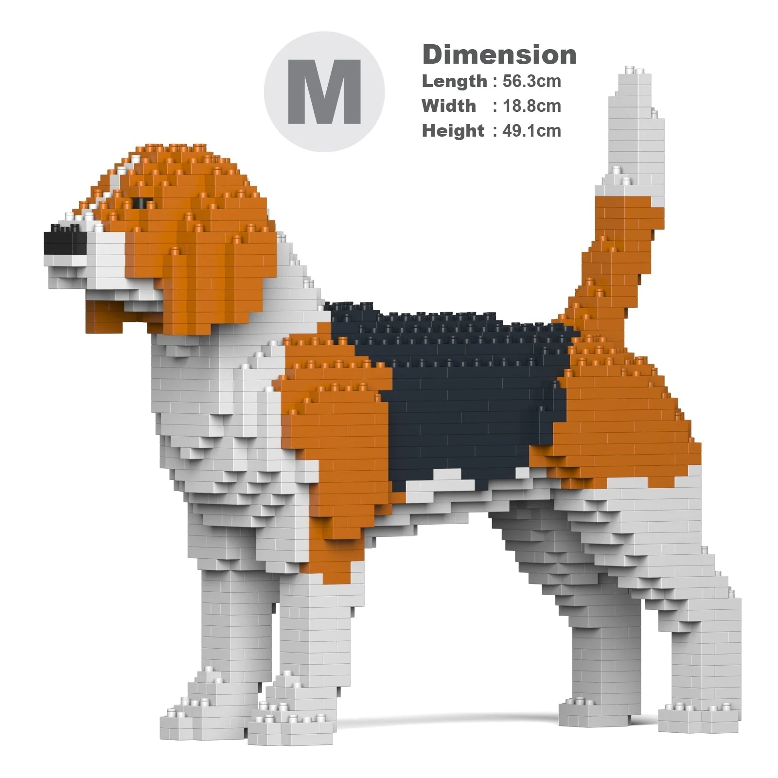 Beagle 01 - Image 5