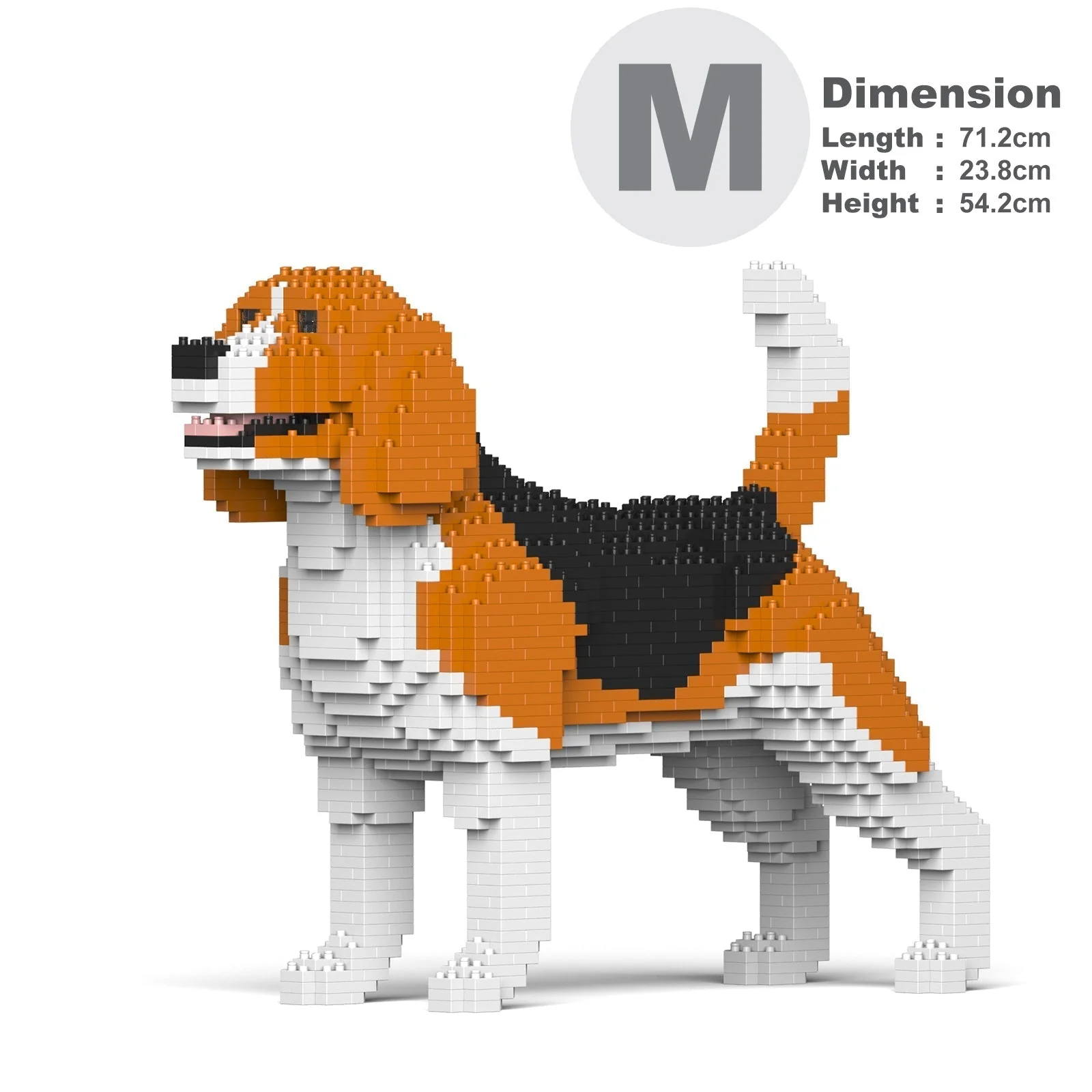 Beagle 03 - Image 5