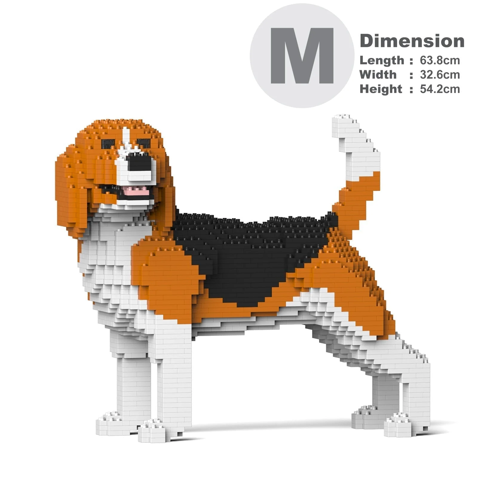 Beagle 04 - Image 5