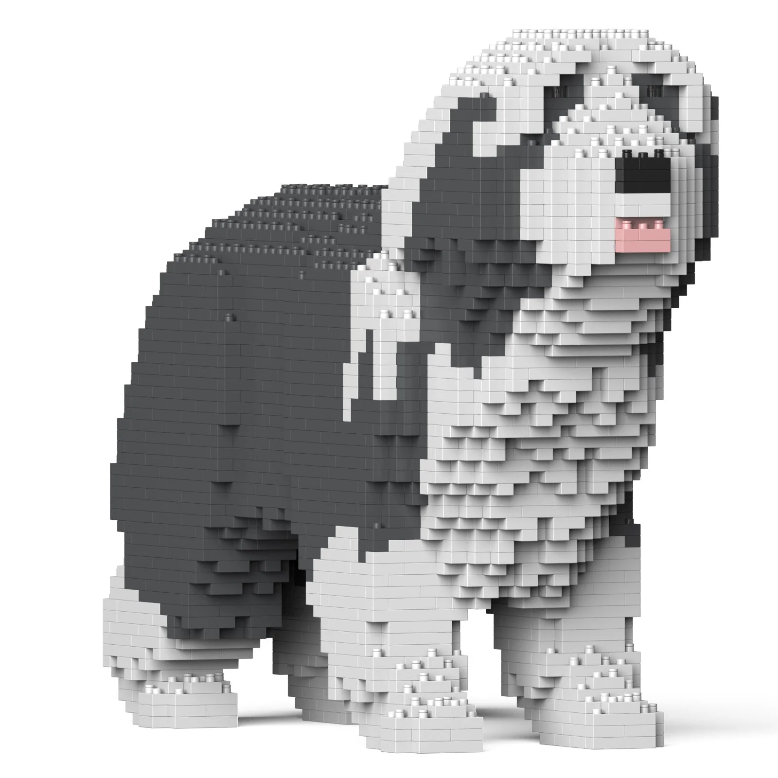 Bearded Collie 01-M03 - Image 3