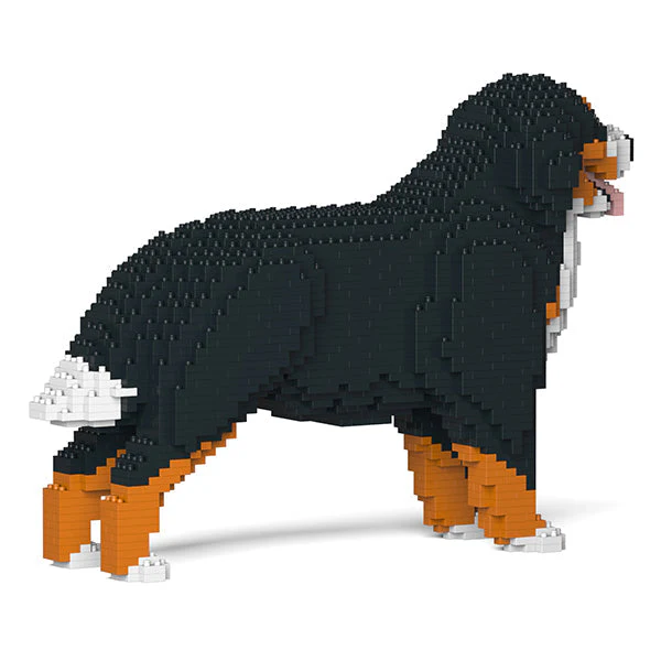 Bernese Mountain Dog 02 - Image 3