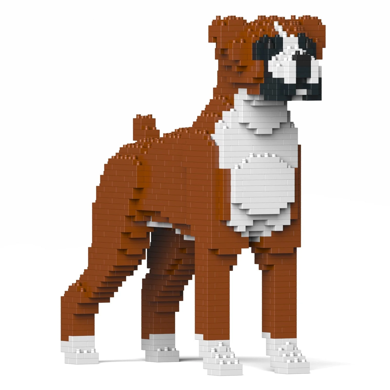 Boxer 01-M01 - Image 3