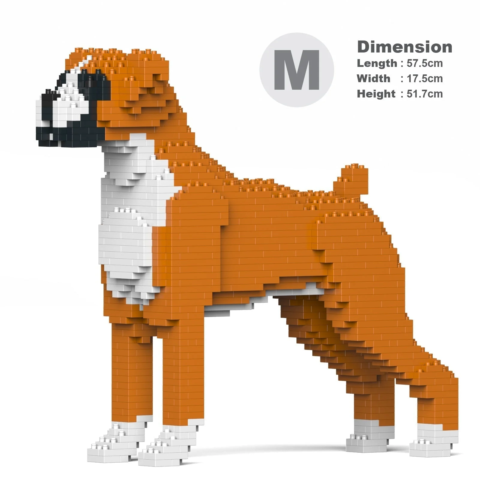 Boxer 01-M02 - Image 5