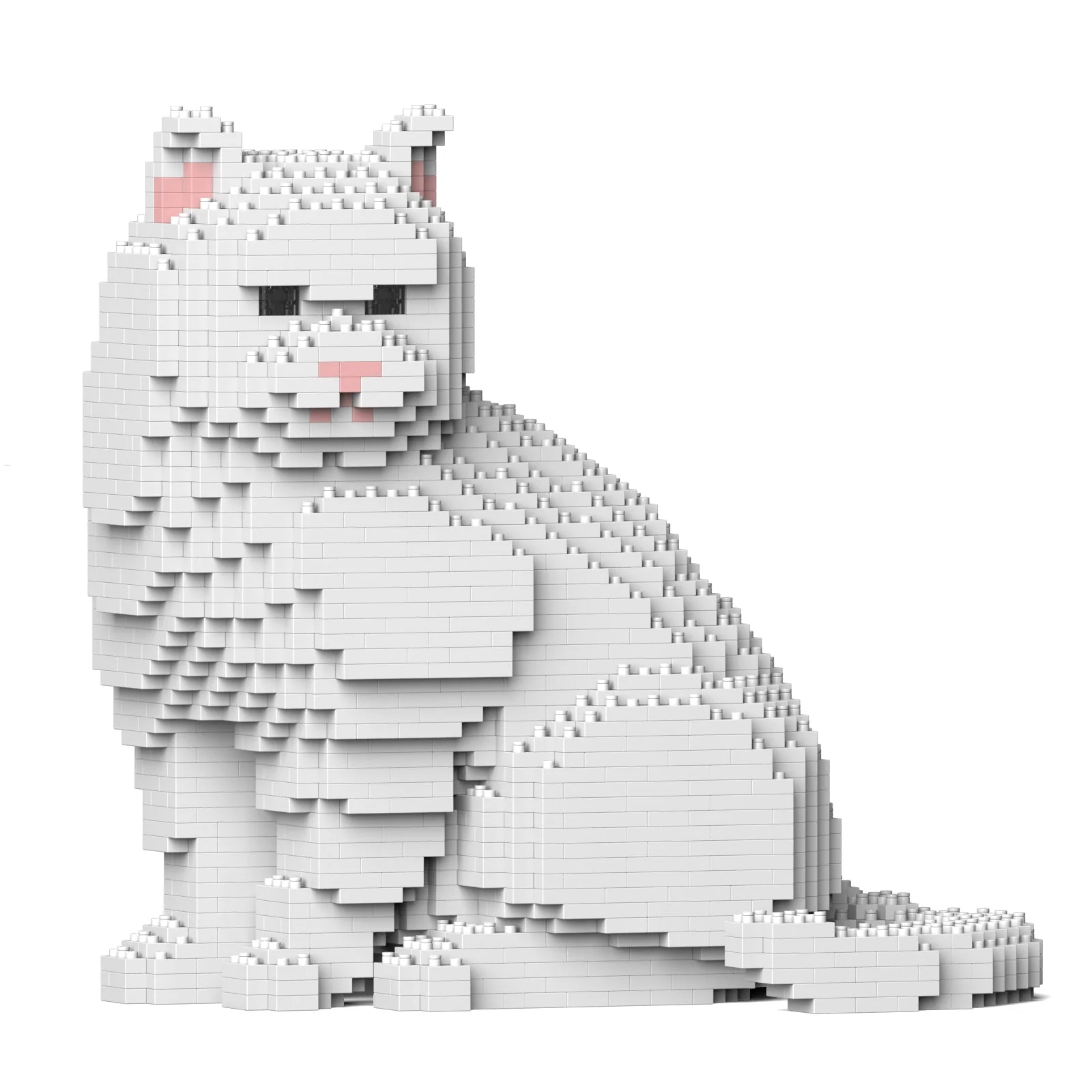 British Shorthair Cat 01S-M02 - Image 4