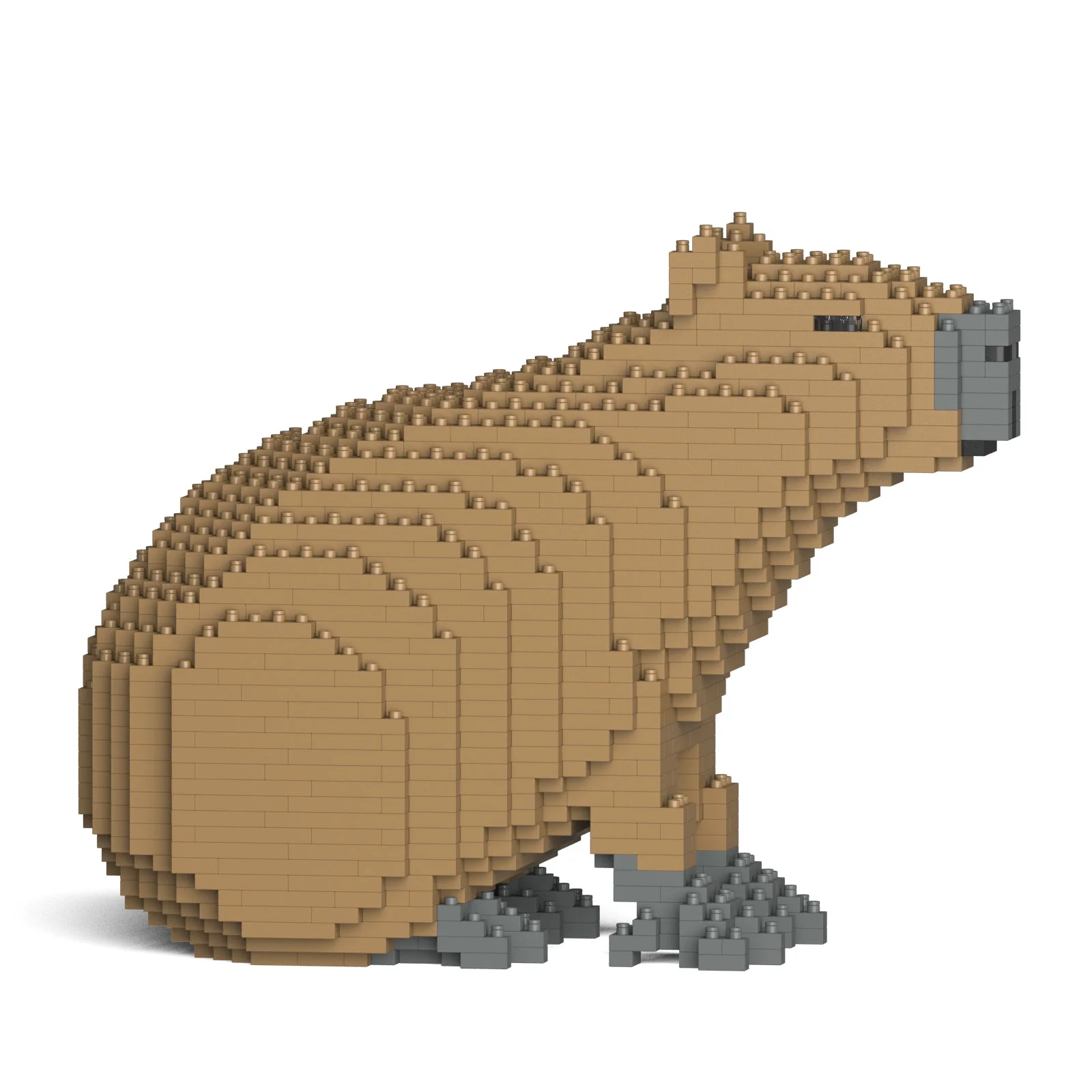Capybara 01 - Image 3