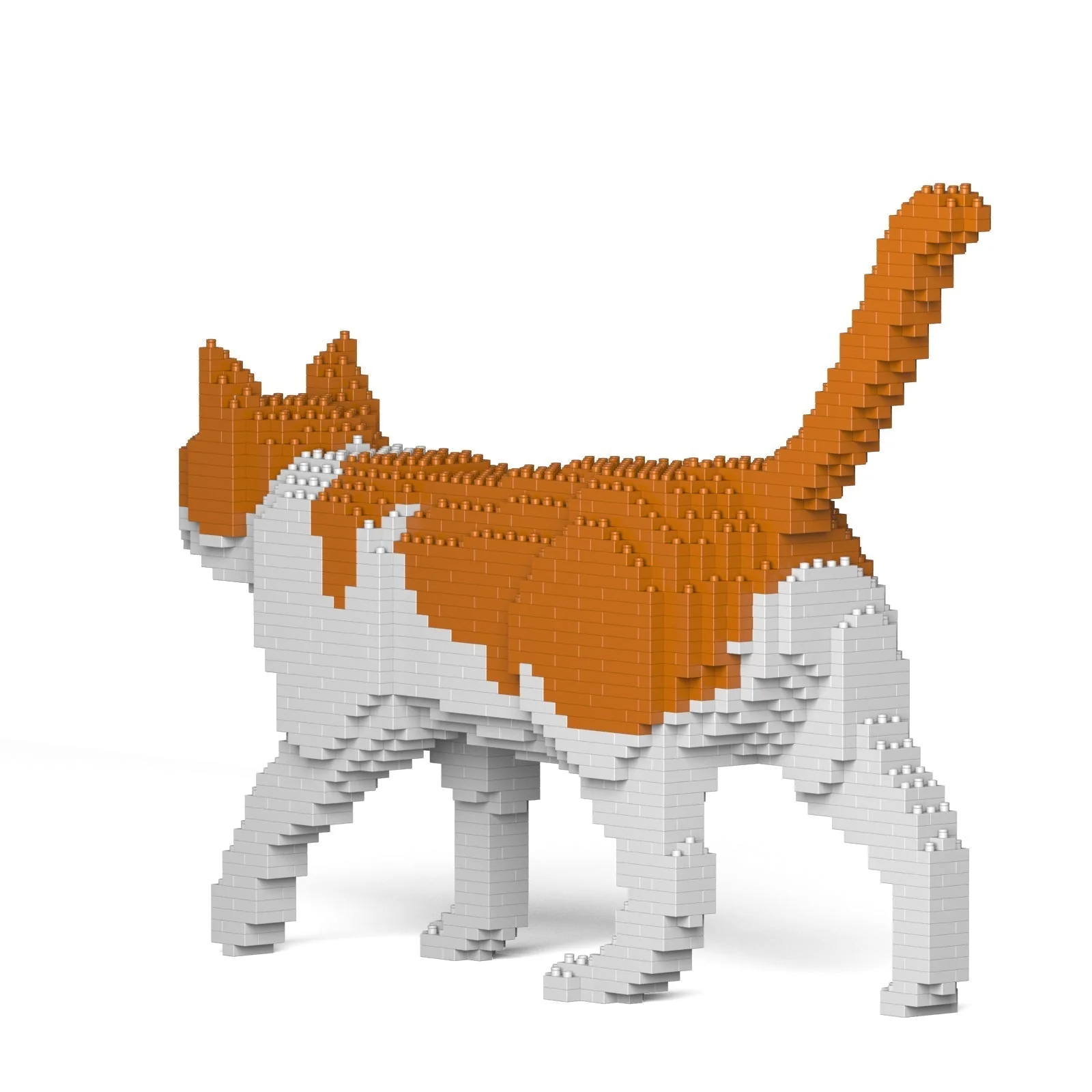 Cat 11S-M03 - Image 3