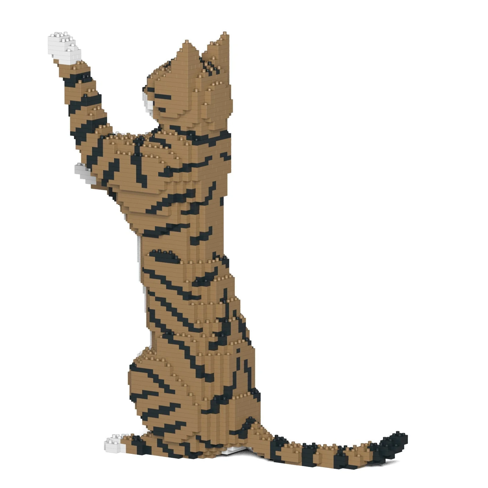 Cat 14S-M04 - Image 3