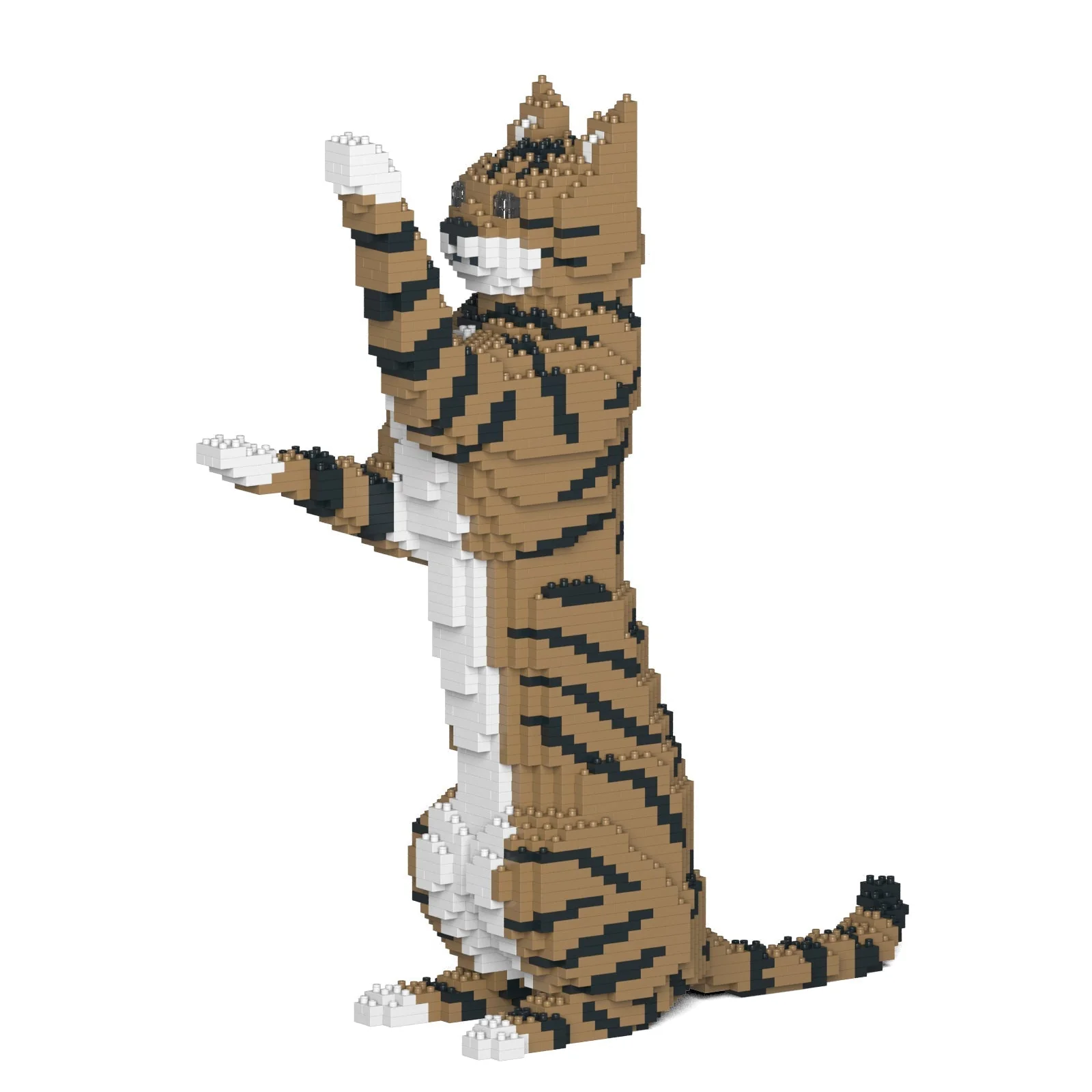 Cat 14S-M04 - Image 4