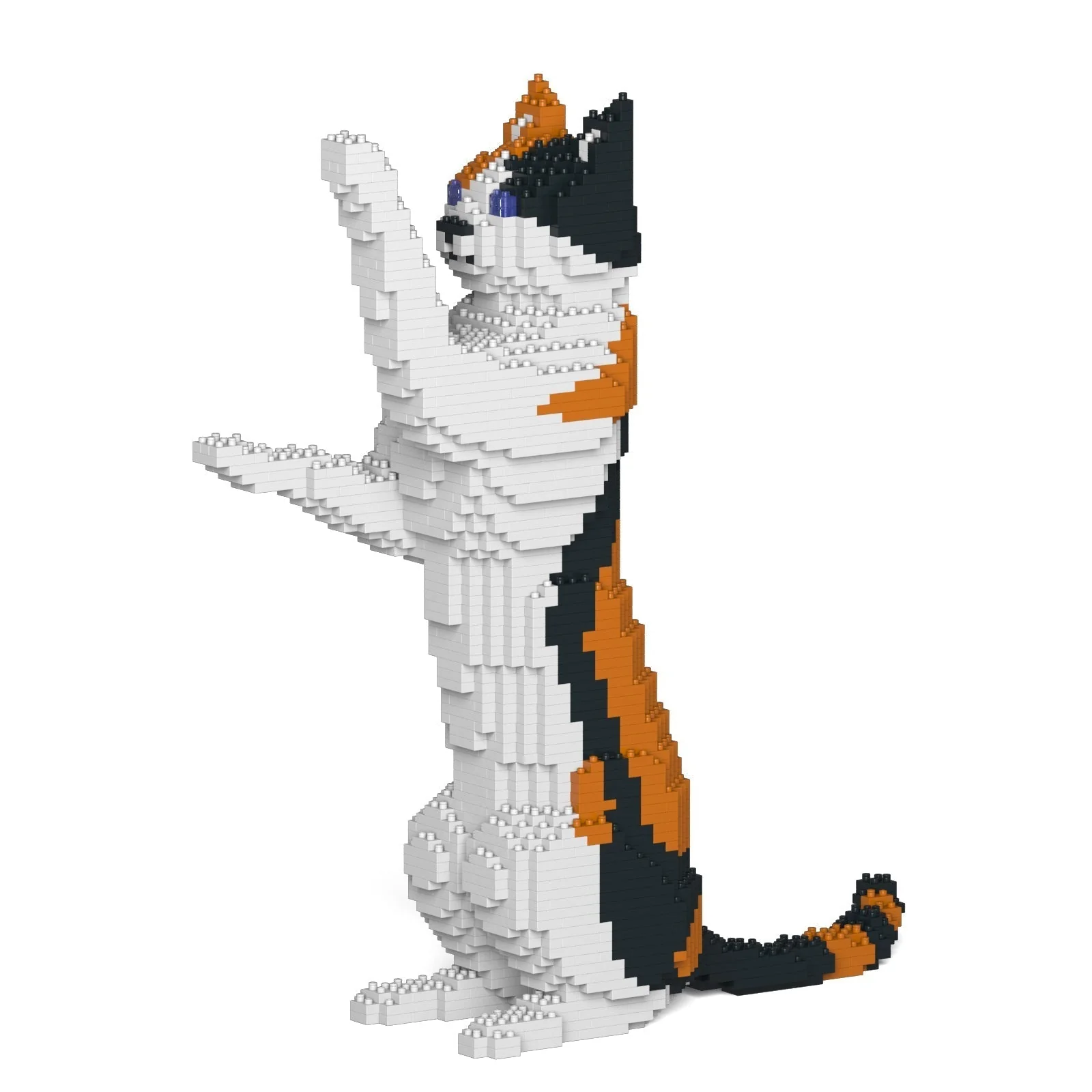 Cat 16S-M01 - Image 3