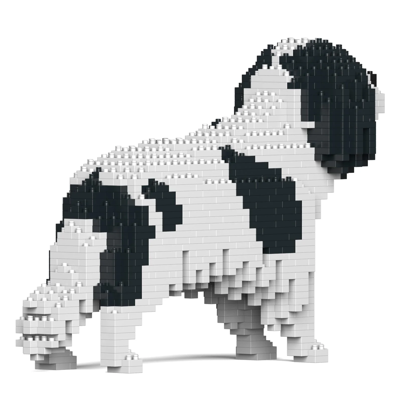 Cavalier King Charles Spaniel 01-M02 - Image 4