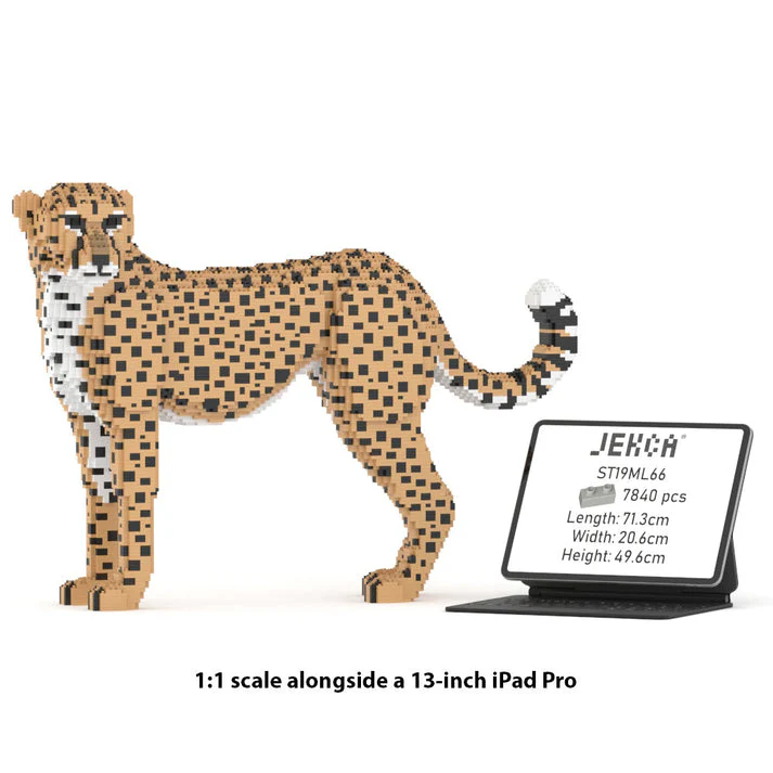 Cheetah 01 - Image 2
