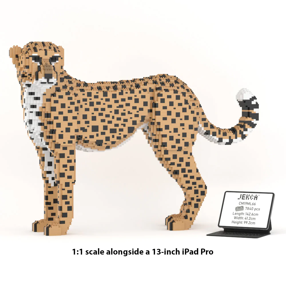 Cheetah 01 - Image 5