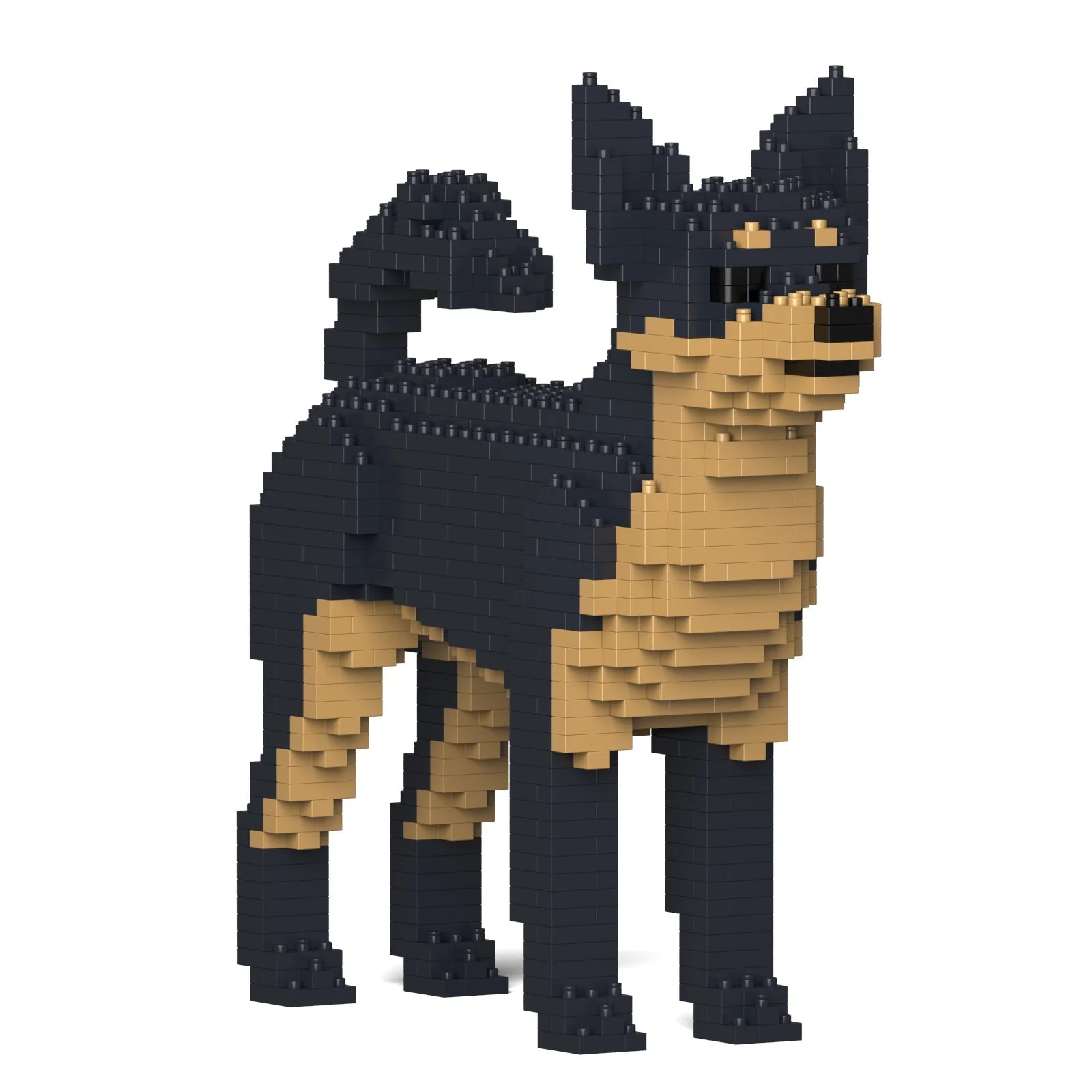 Chihuahua 01-M02 - Image 3