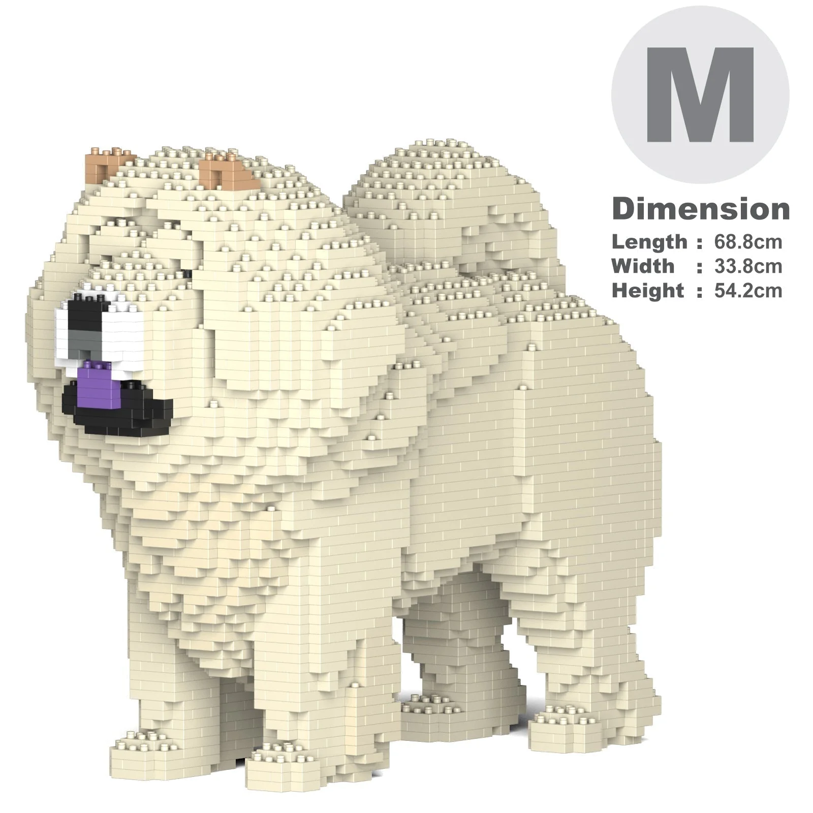 Chow Chow 02-M04 - Image 5