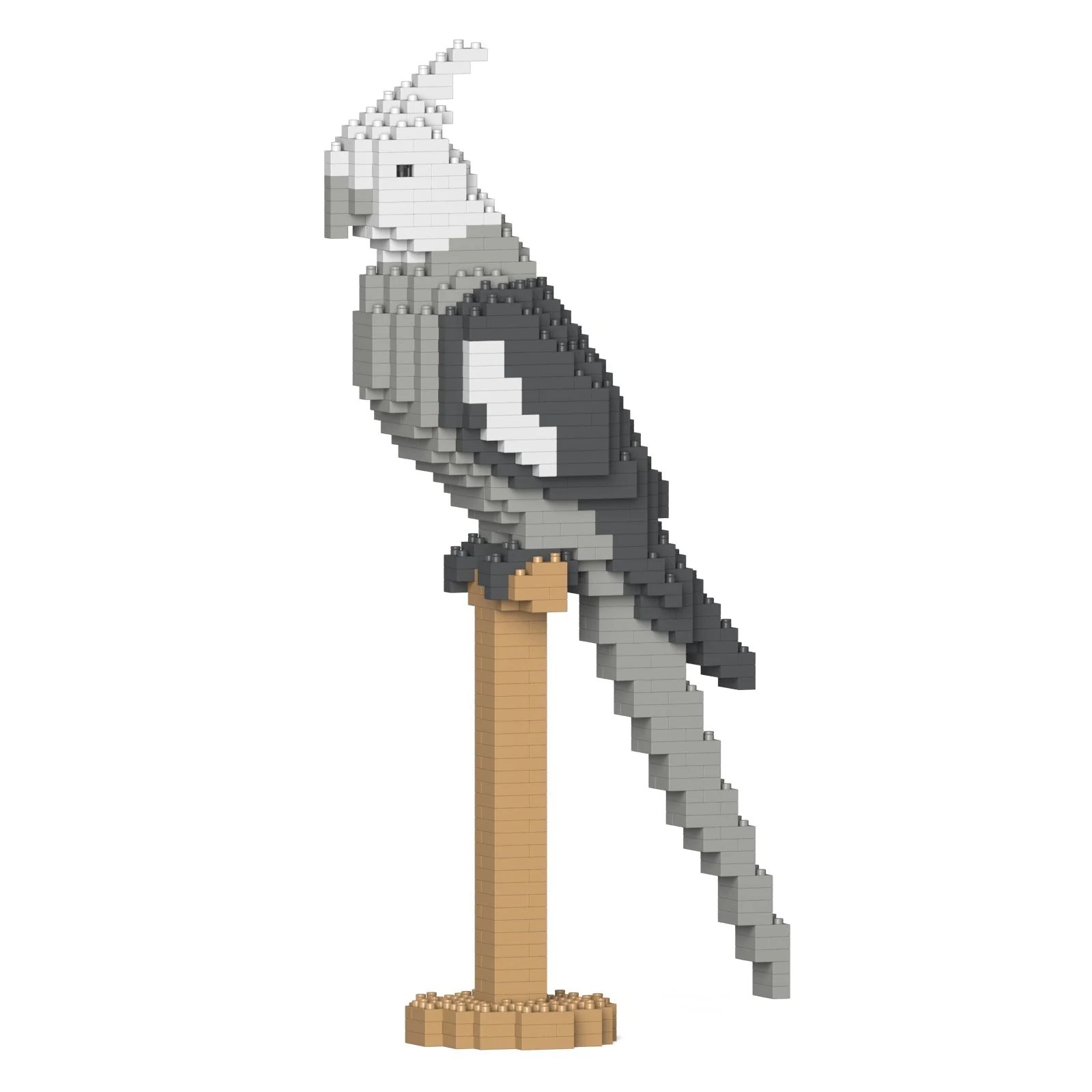 Cockatiel 03S - Image 2