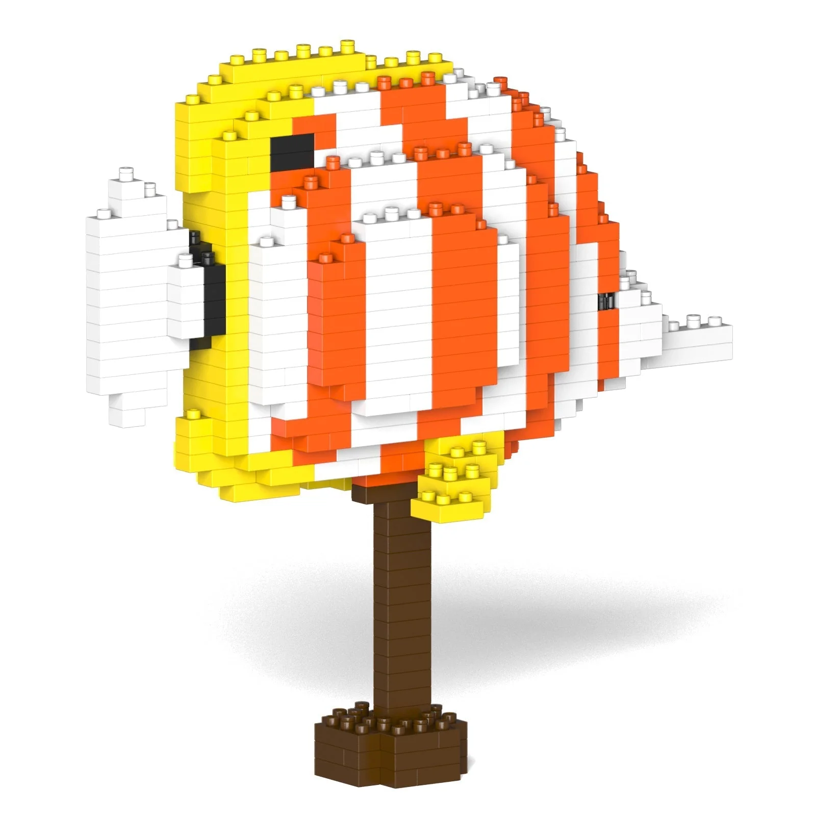 Copper Banded Butterflyfish 01 - Image 4