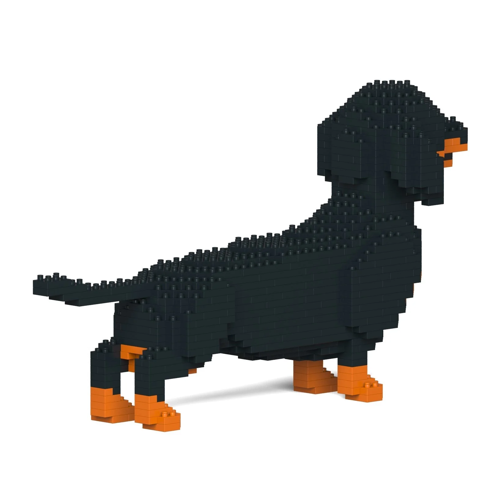 Dachshund 02-M01 - Image 4