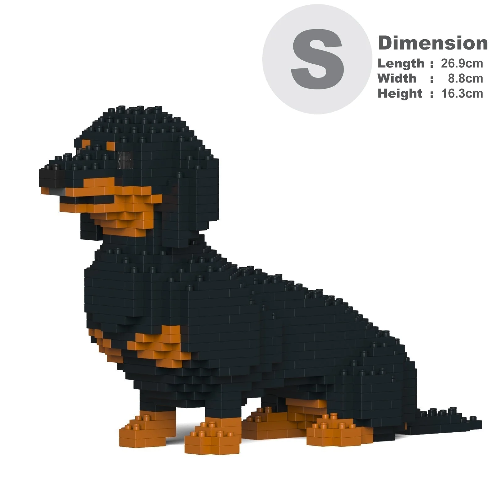 Dachshund 03-M01 - Image 2