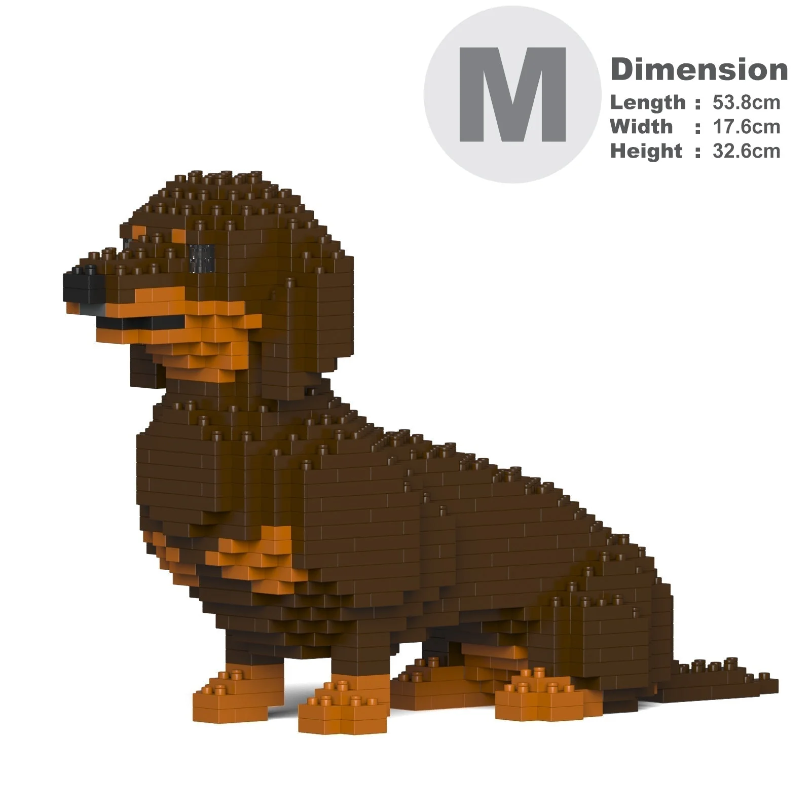Dachshund 03-M02 - Image 5