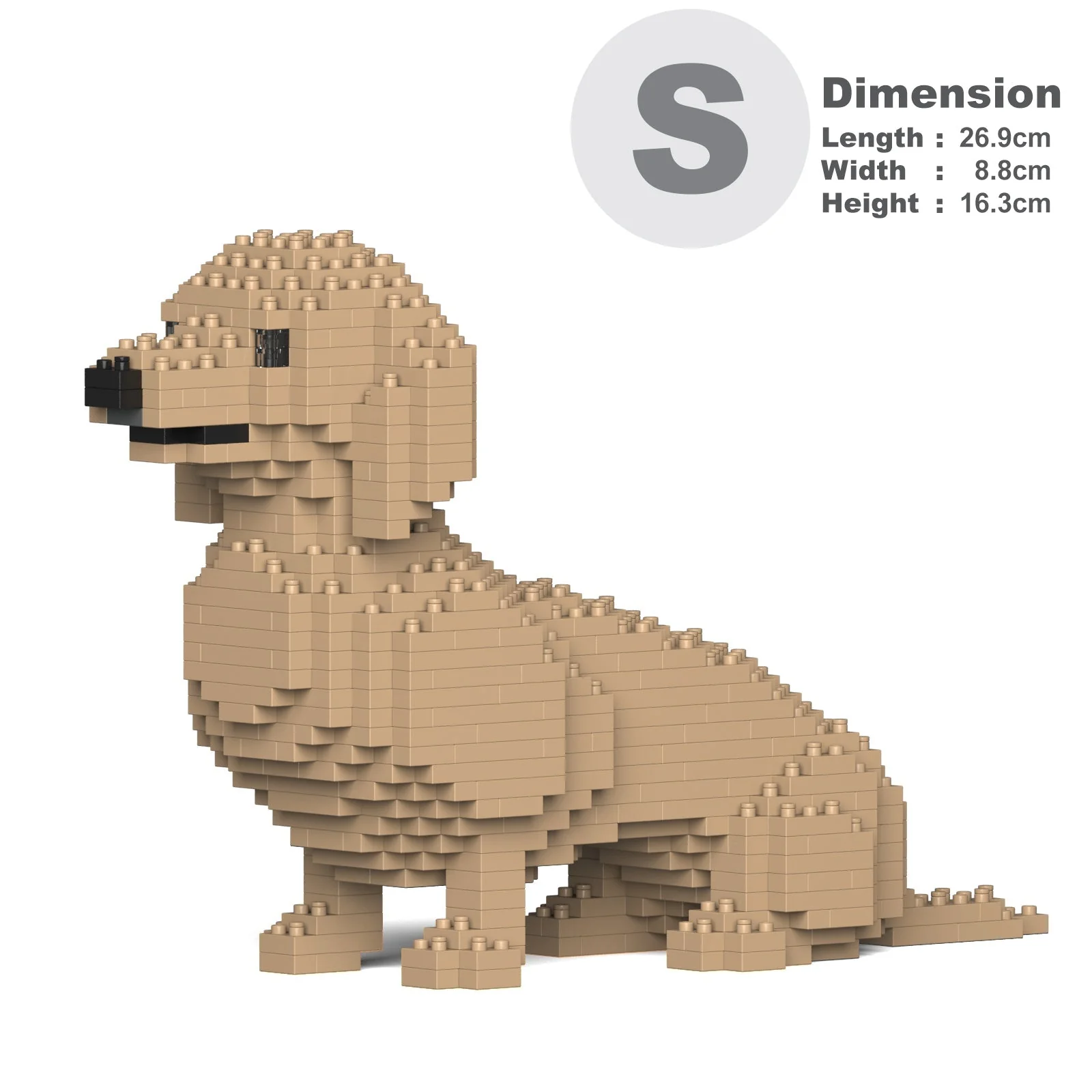 Dachshund 03-M03 - Image 2