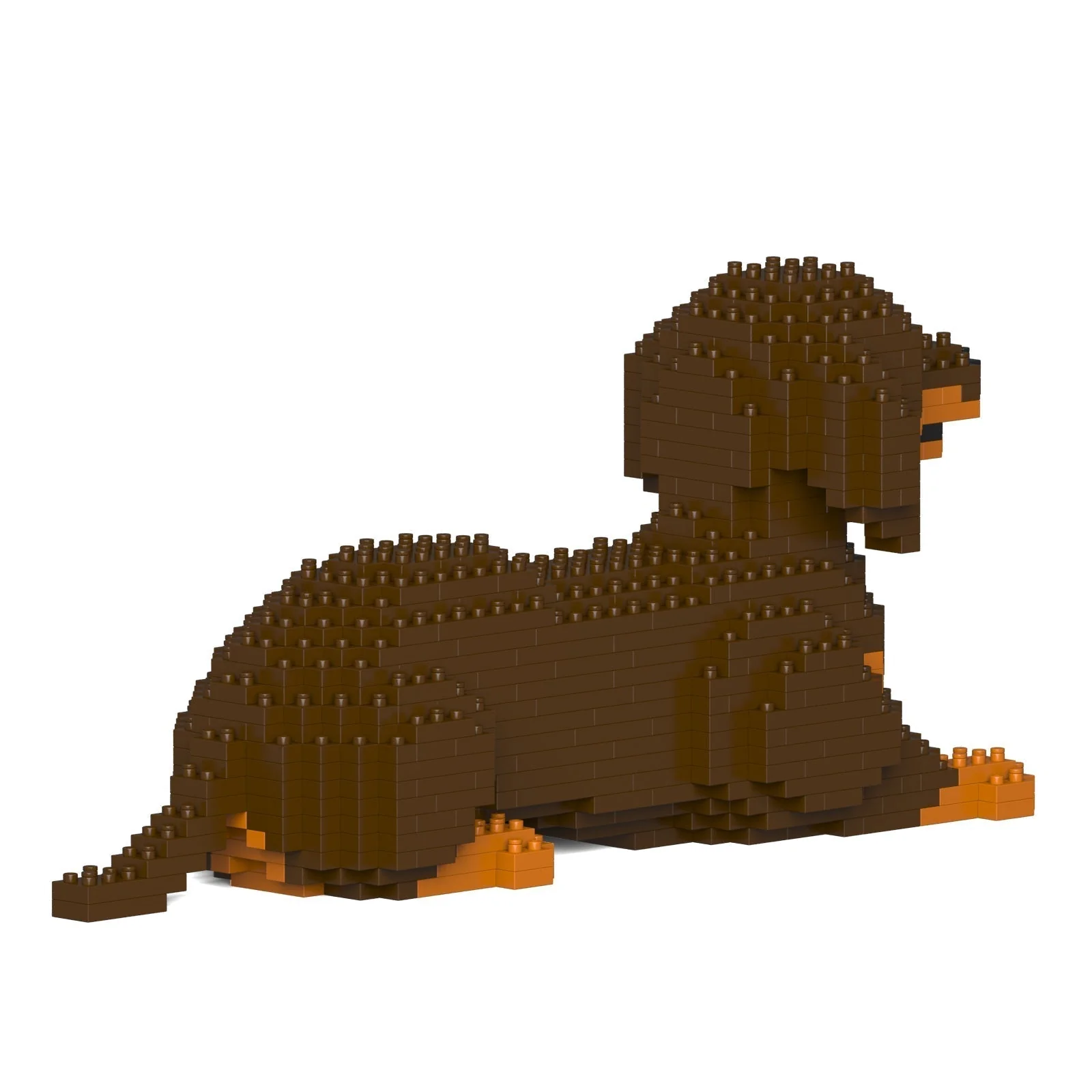 Dachshund 04-M02 - Image 4