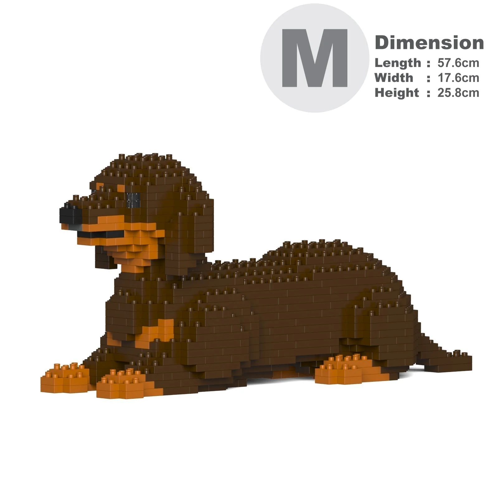 Dachshund 04-M02 - Image 5