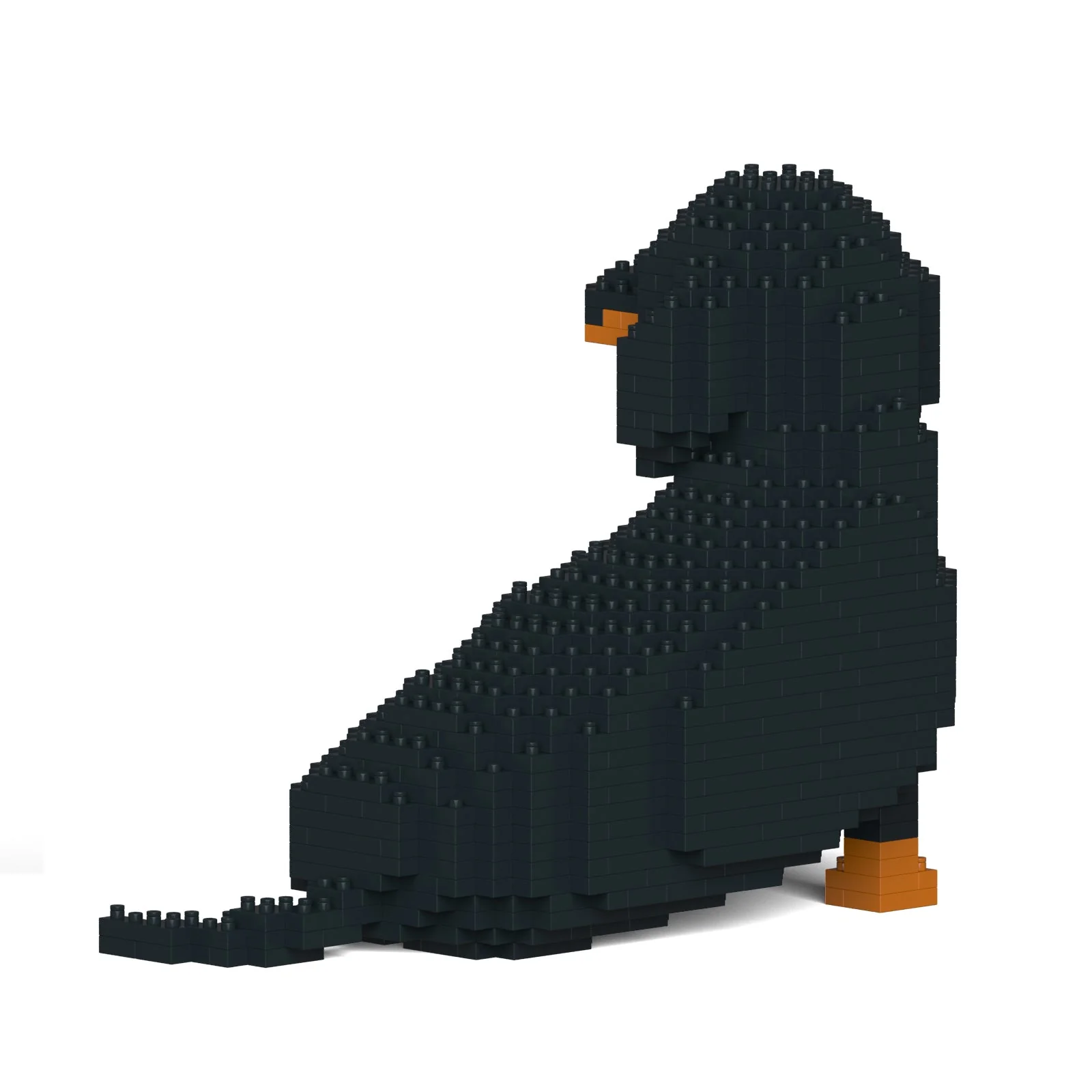 Dachshund 05-M01 - Image 4