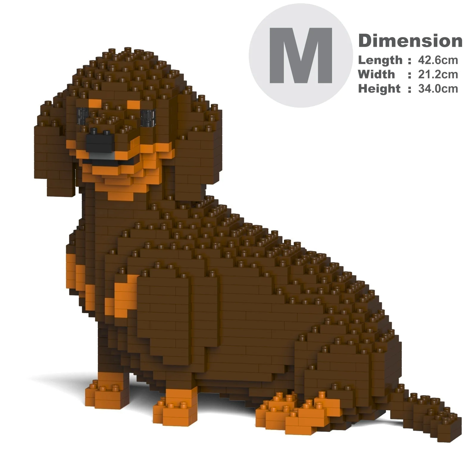 Dachshund 05-M02 - Image 5