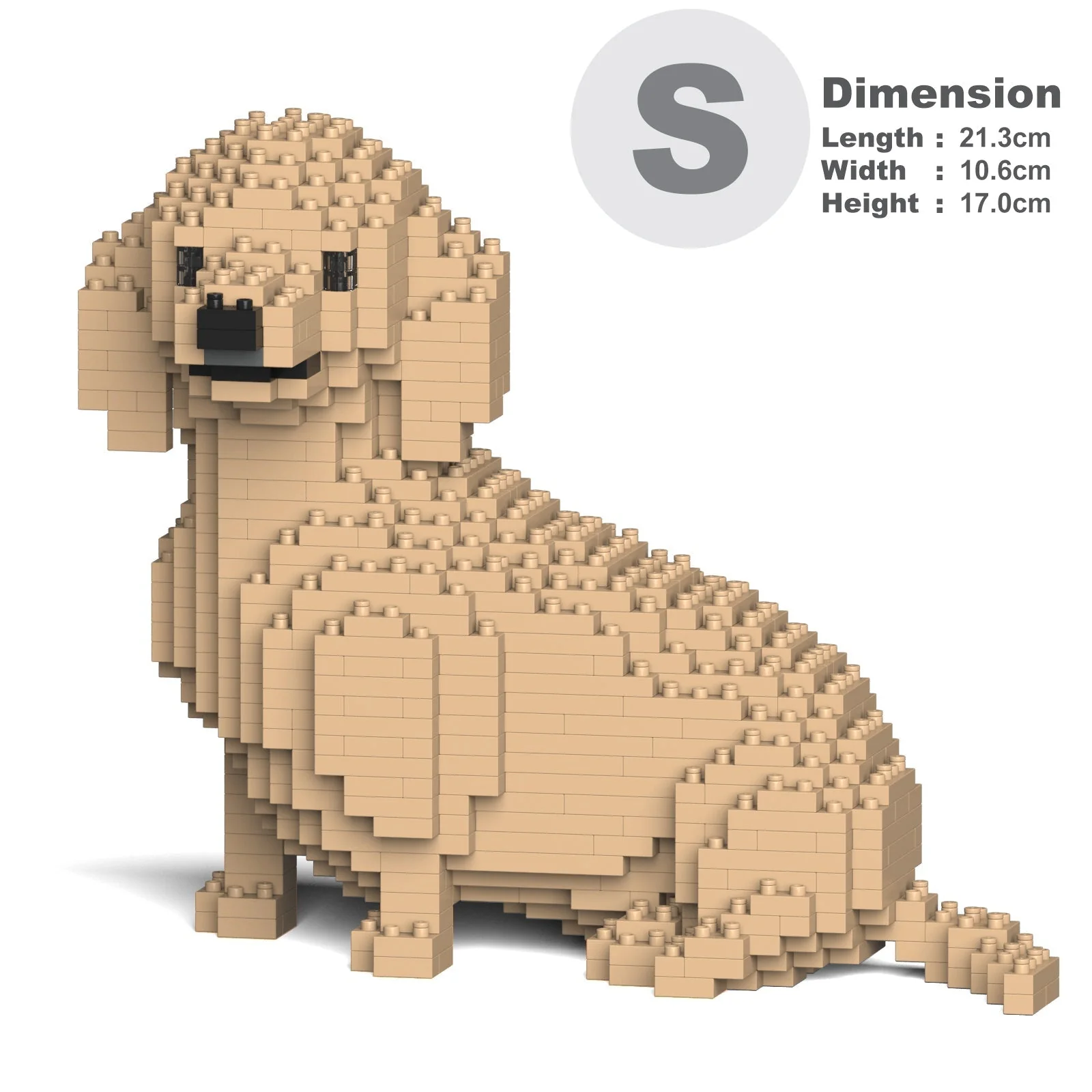 Dachshund 05-M03 - Image 2