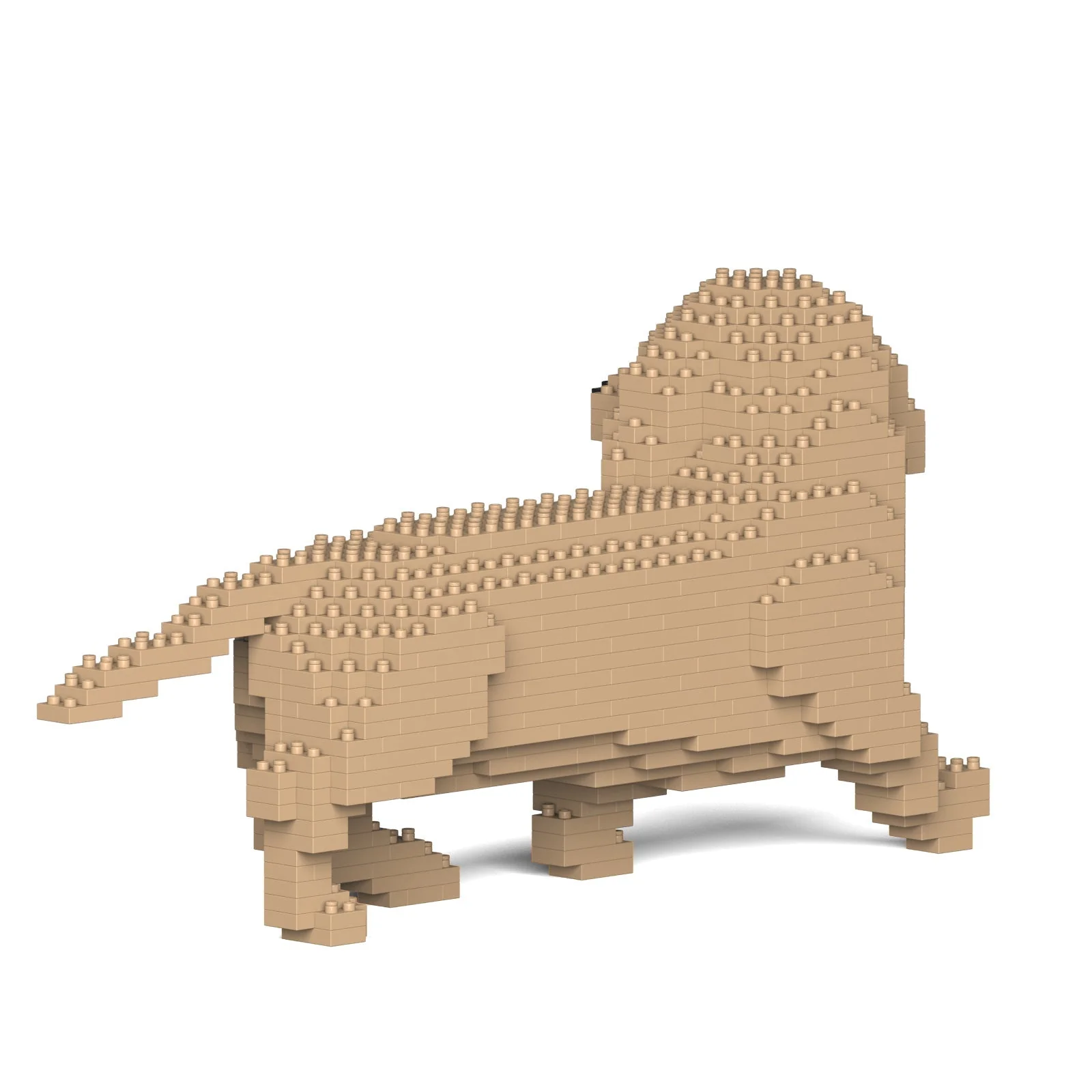 Dachshund 06-M03 - Image 4