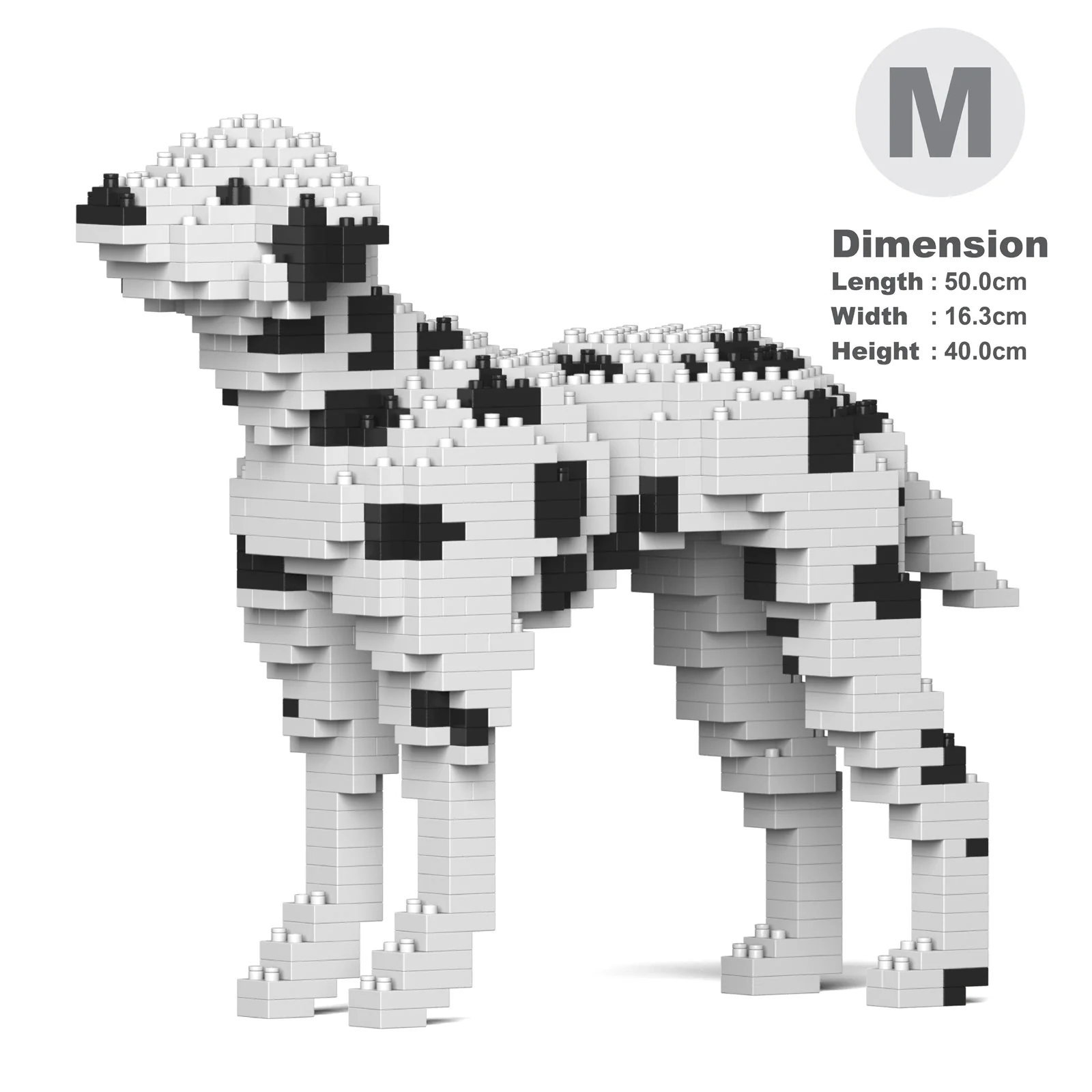 Dalmatian 01-M01 - Image 5