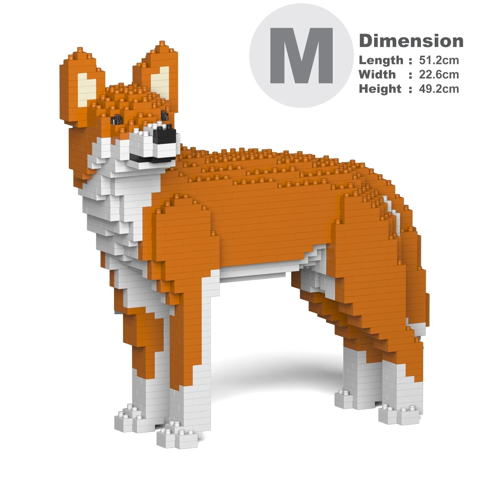 Dingo 01 - Image 5