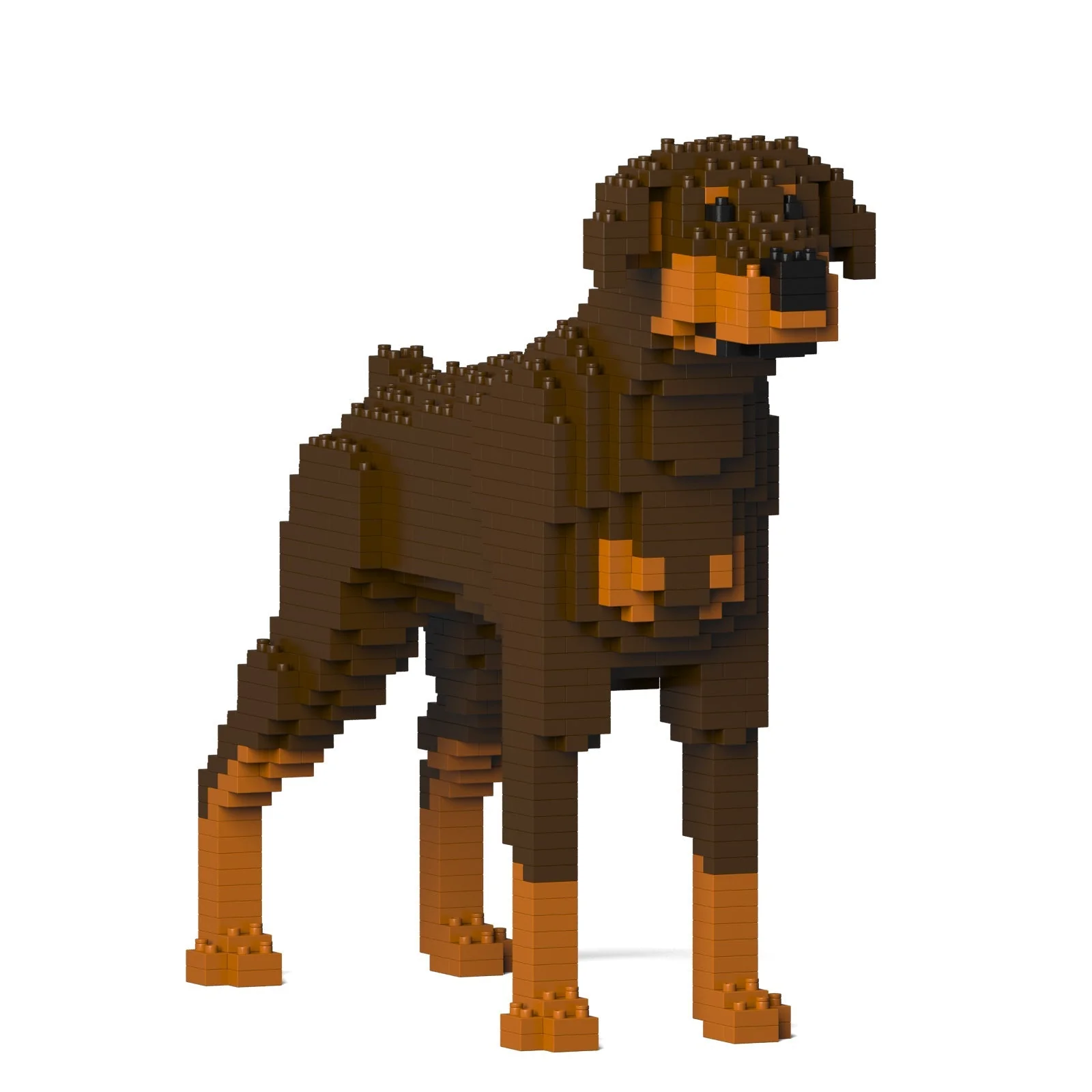 Doberman Pinscher 01-M02 - Image 6
