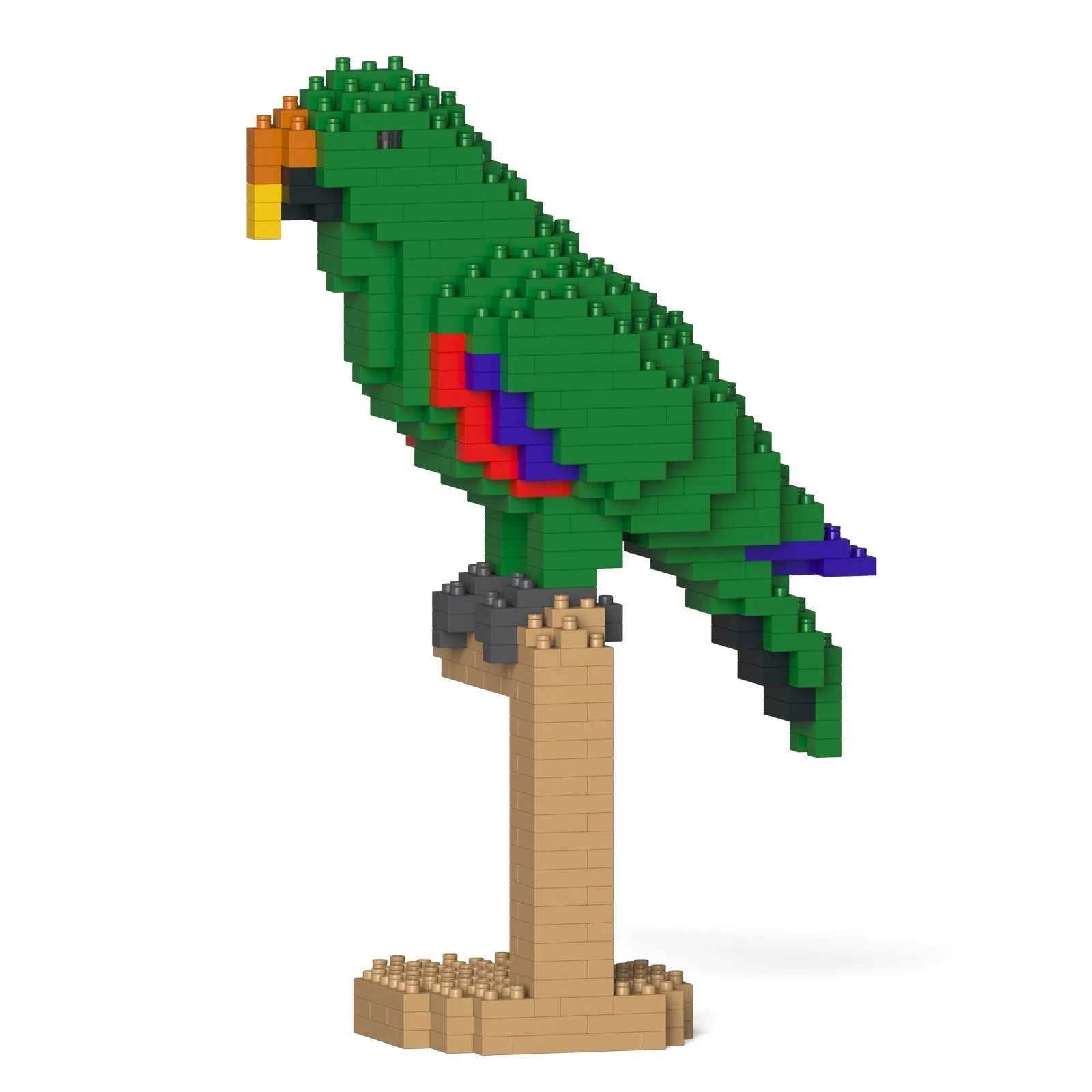 Eclectus 02S - Image 3