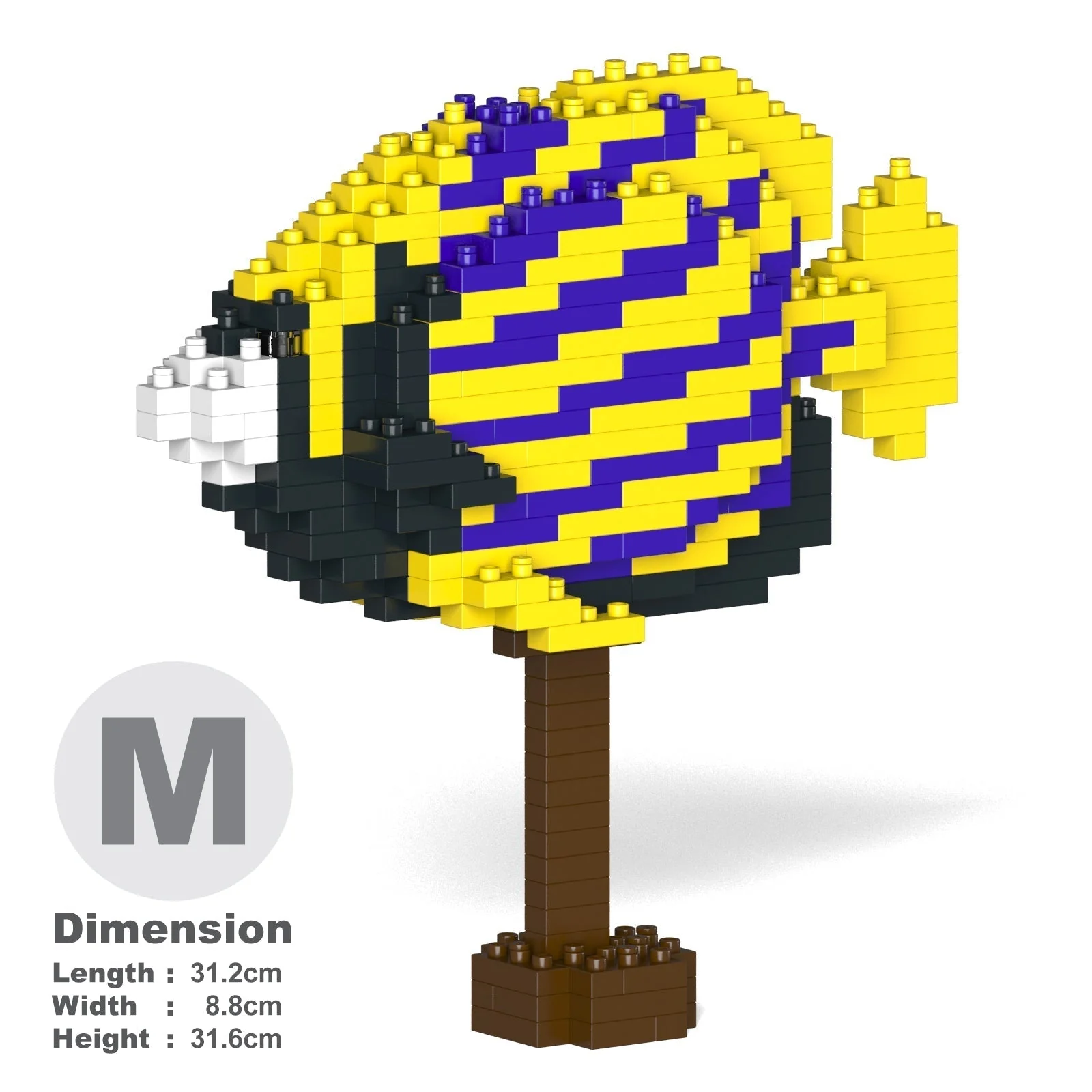 Emperor Angelfish 01 - Image 5