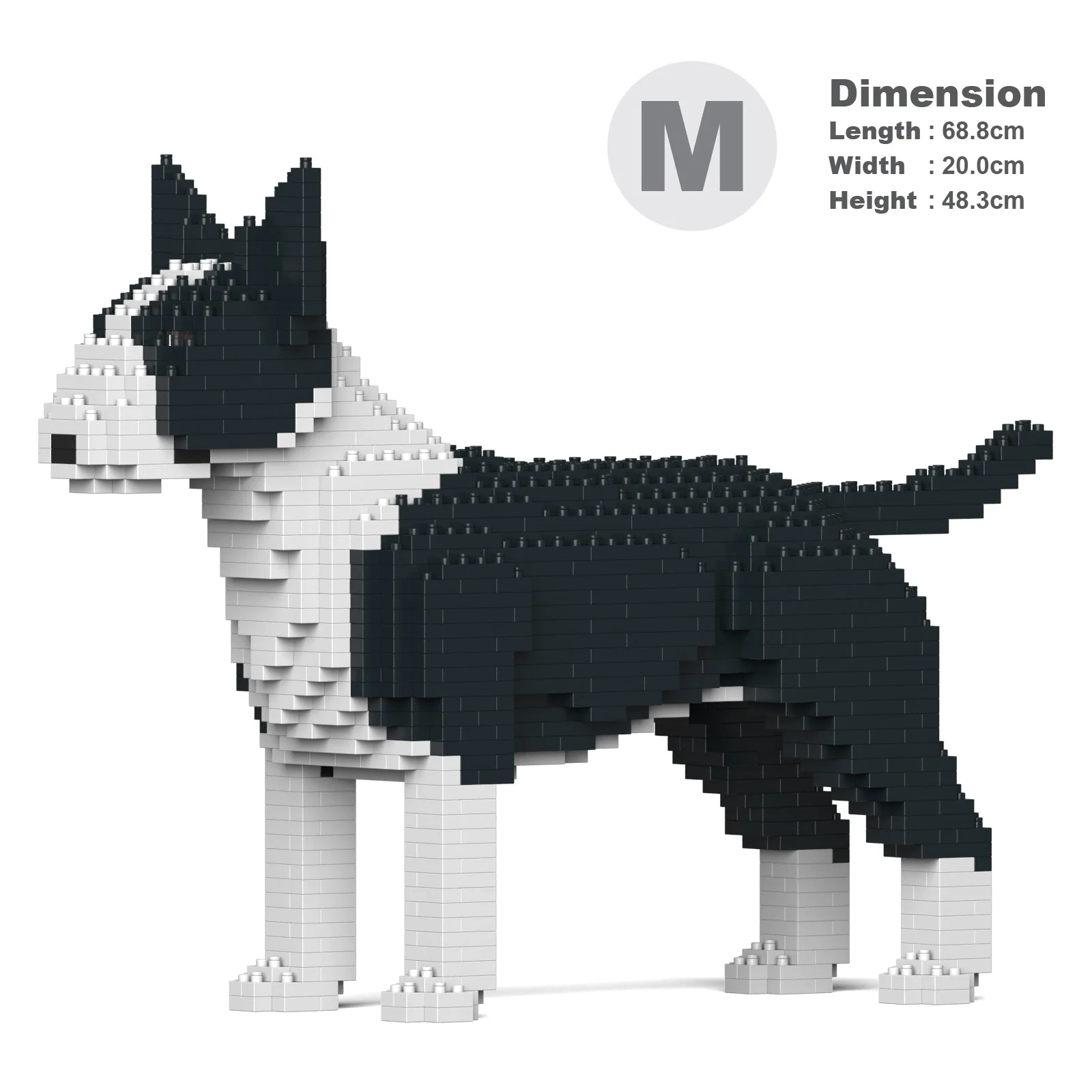 English Bull Terrier 01-M01 - Image 5