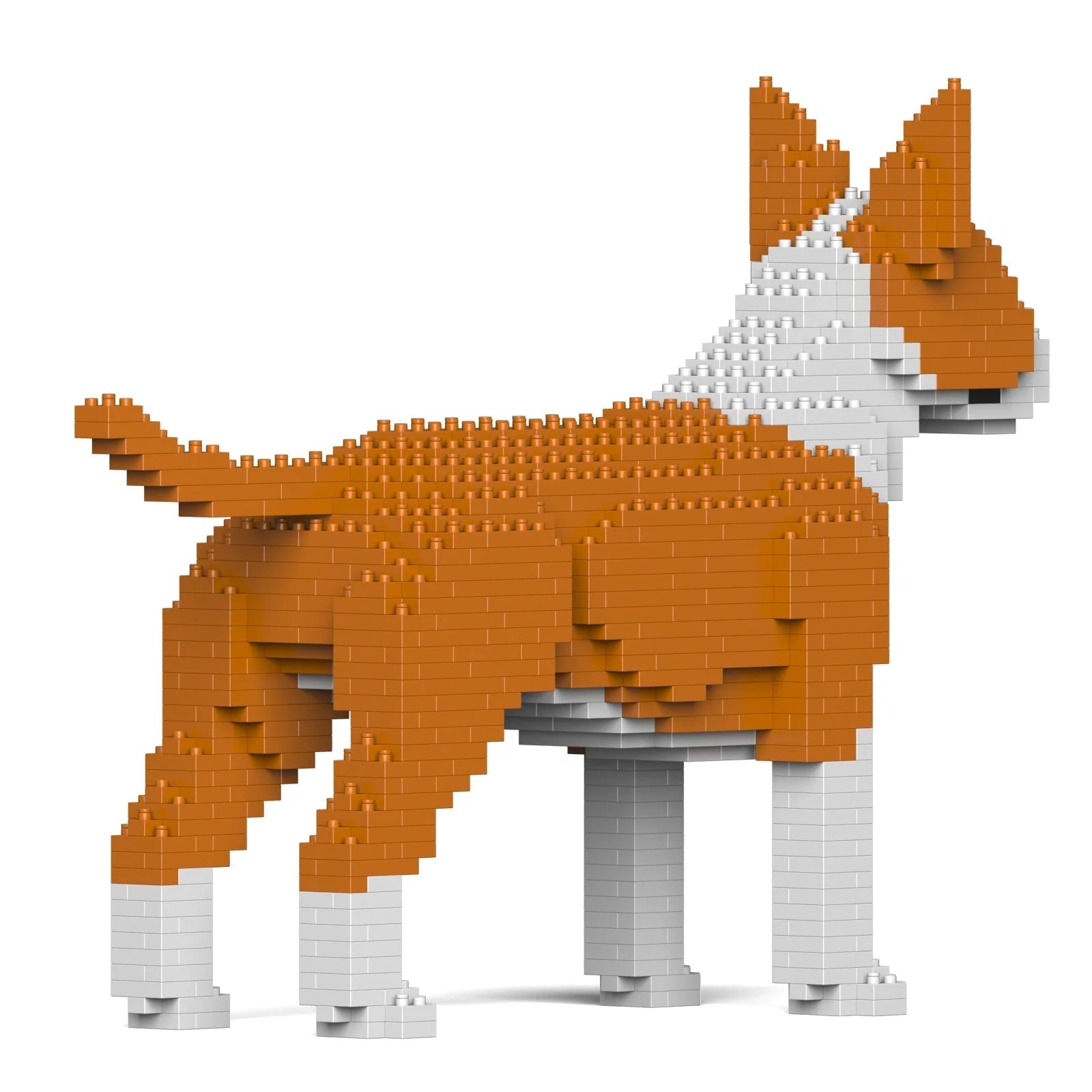 English Bull Terrier 01-M02 - Image 4