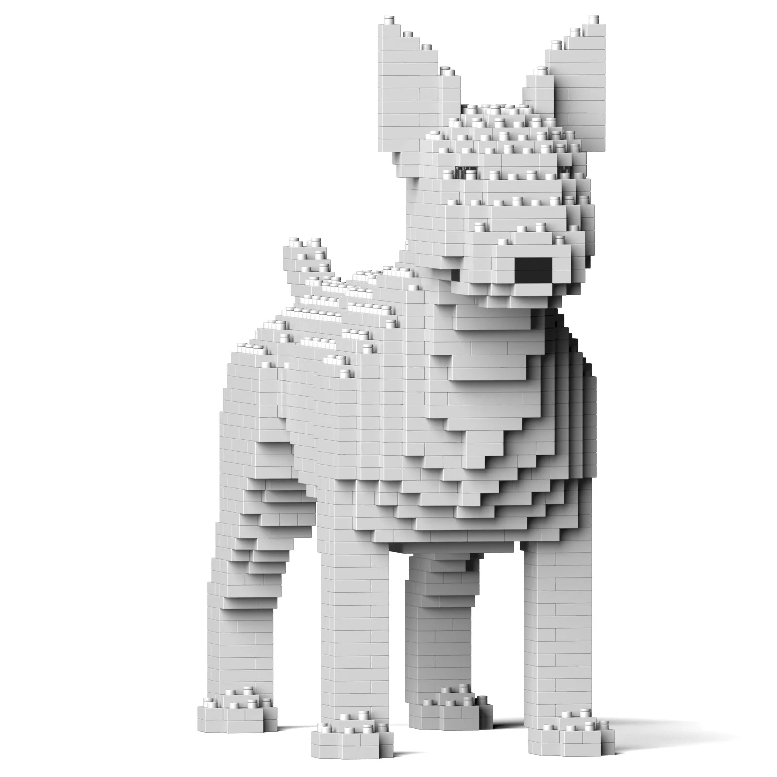 English Bull Terrier 01-M03 - Image 3