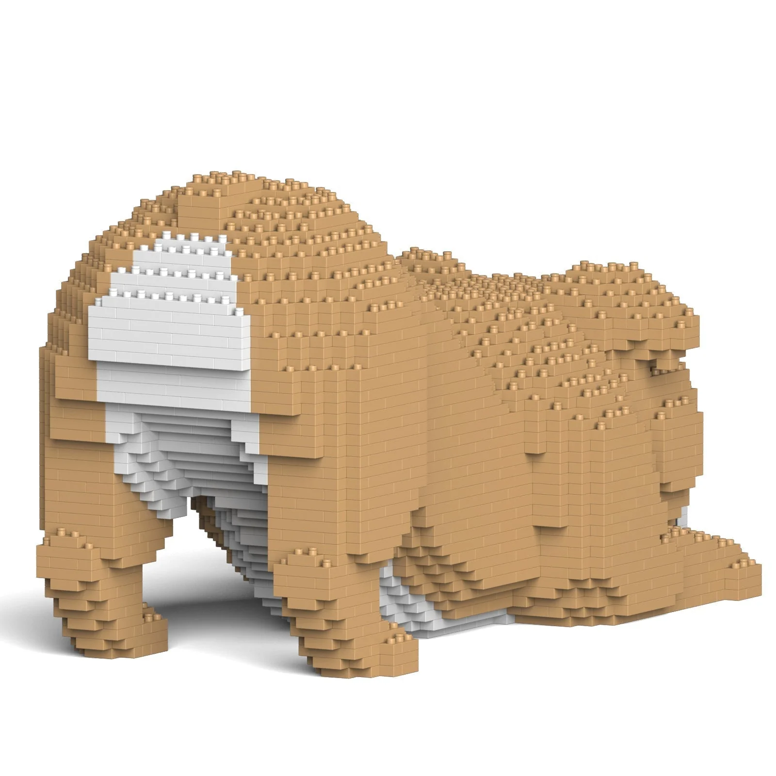English Bulldog 4-in-1 Pack 01-M03 - Image 15