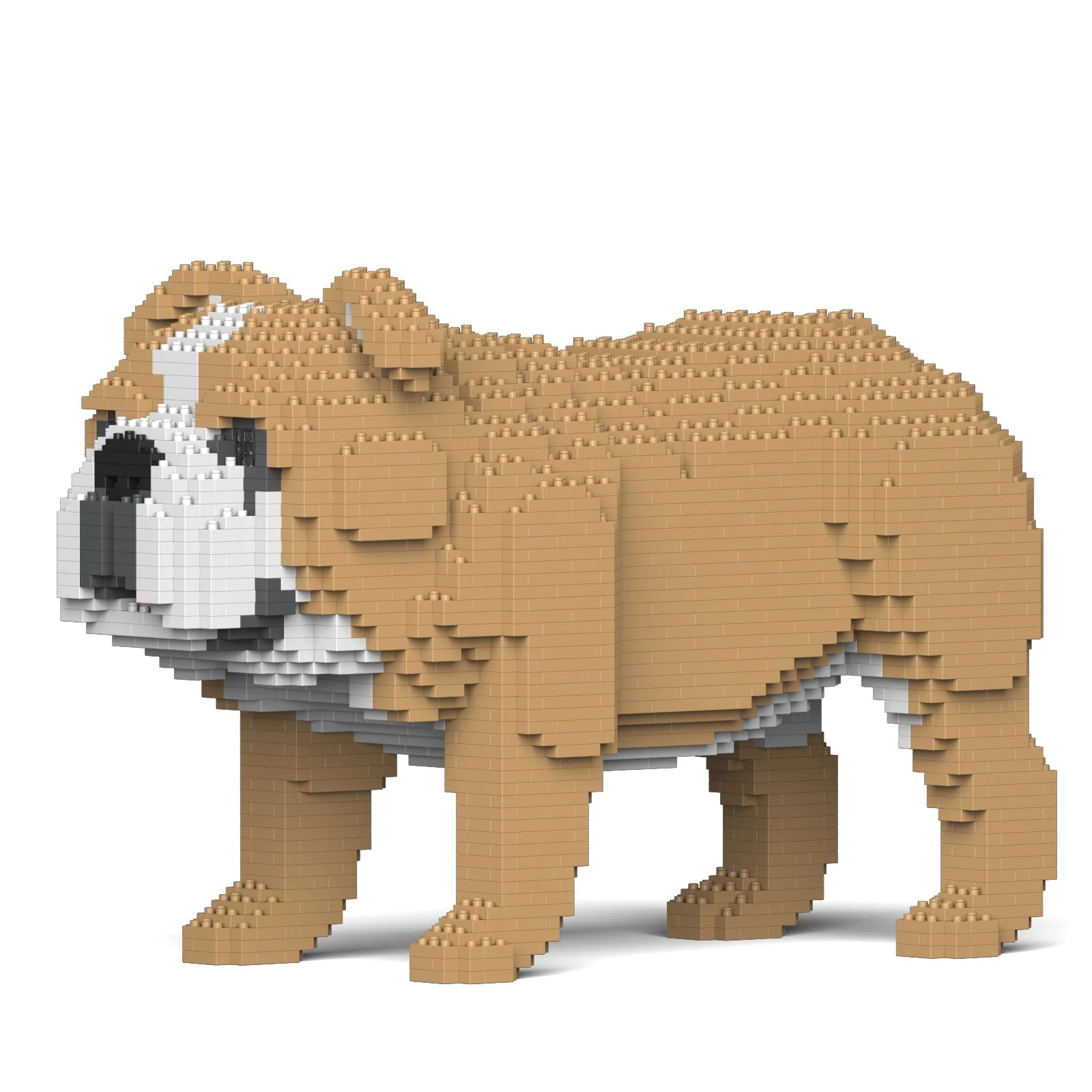 English Bulldog 4-in-1 Pack 01-M03 - Image 16
